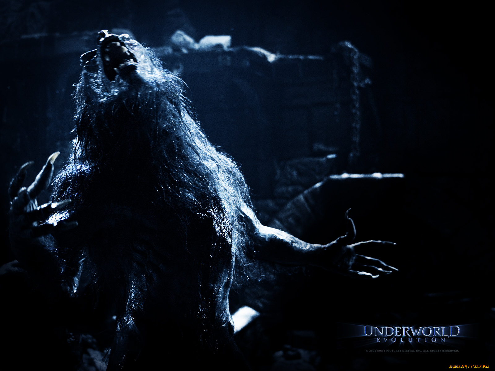 кино, фильмы, underworld, evolution