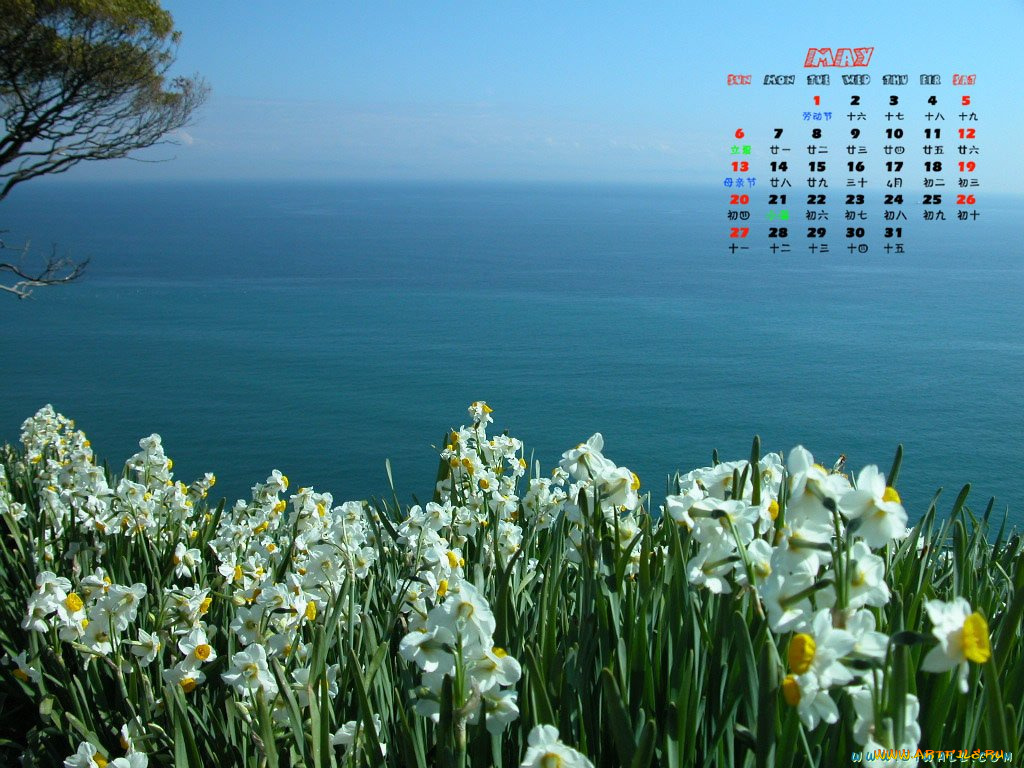 календари, цветы