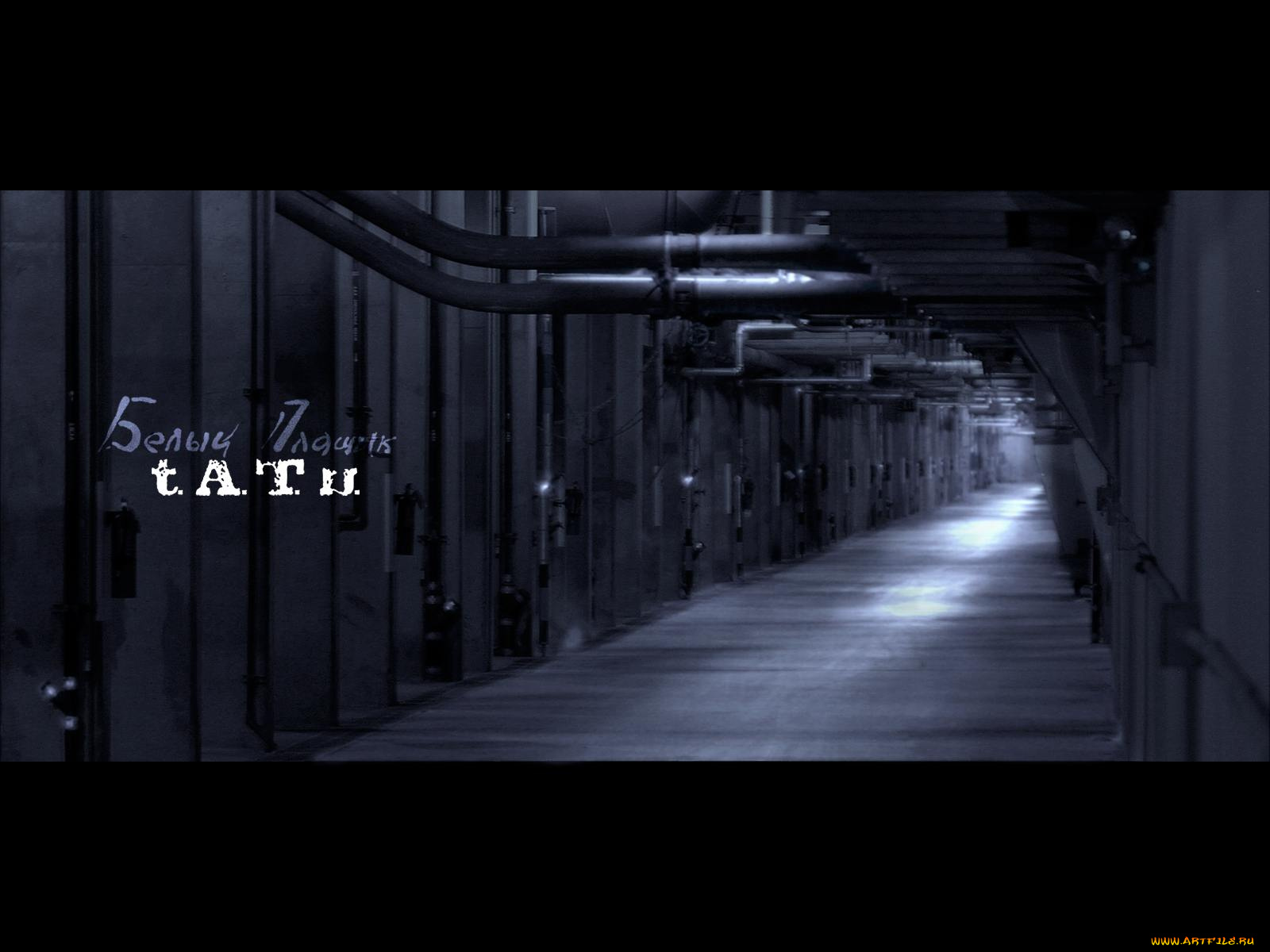 музыка, тату