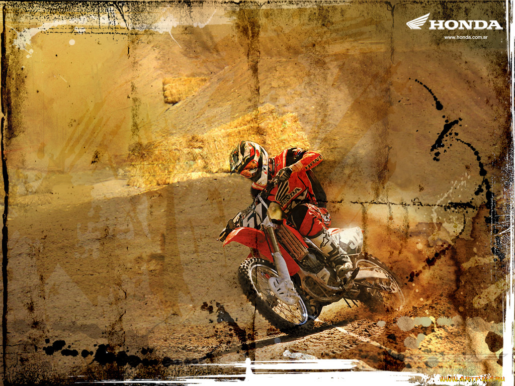 спорт, мотокросс