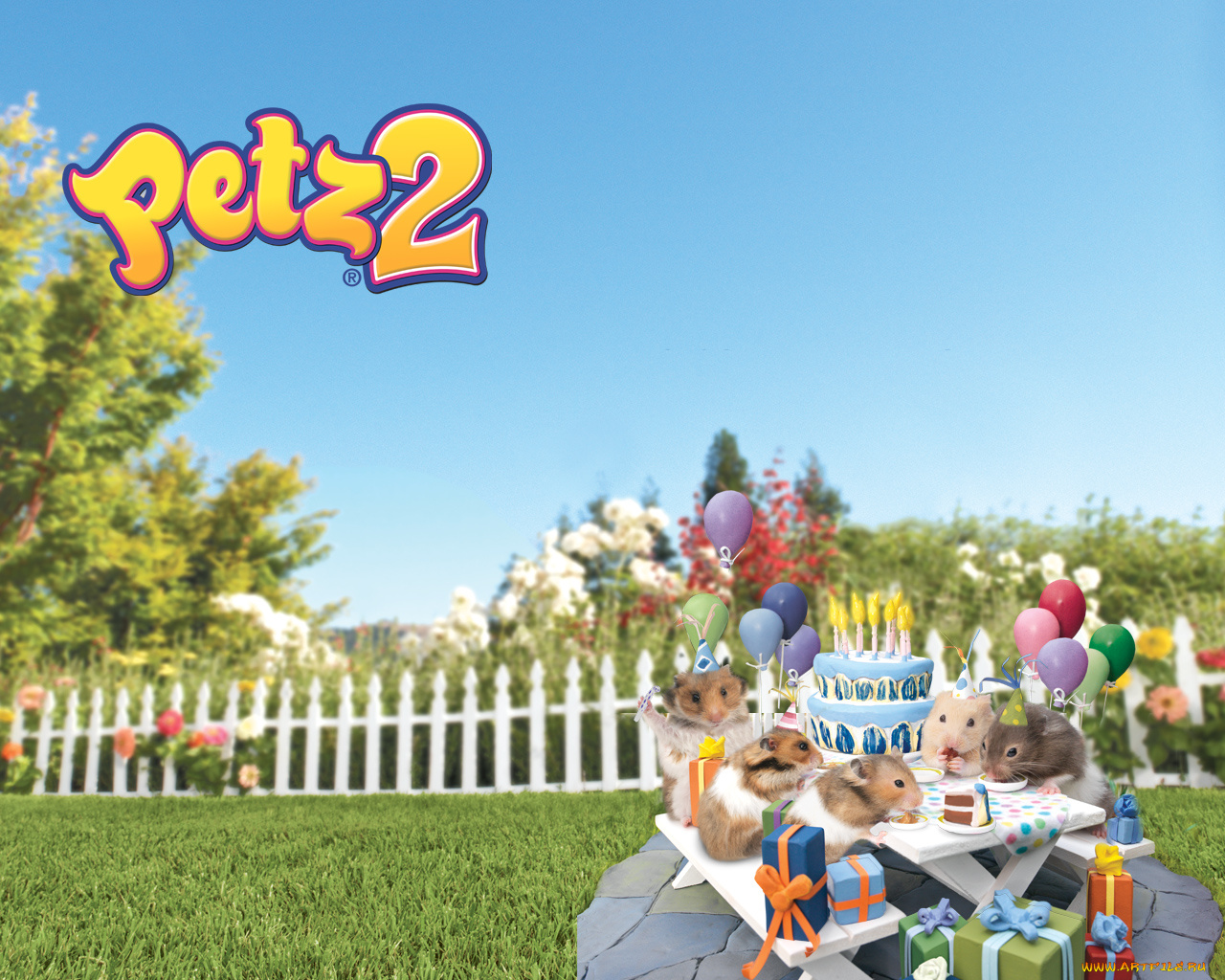 видео, игры, petz