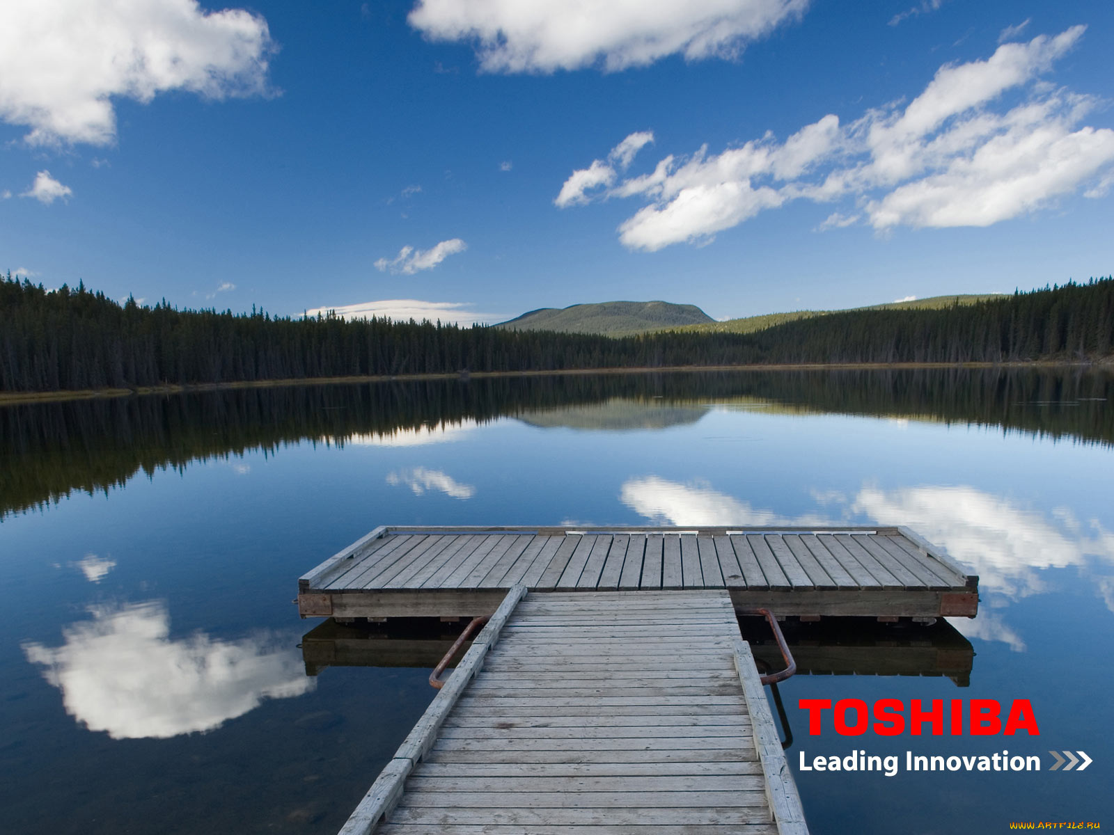 бренды, toshiba