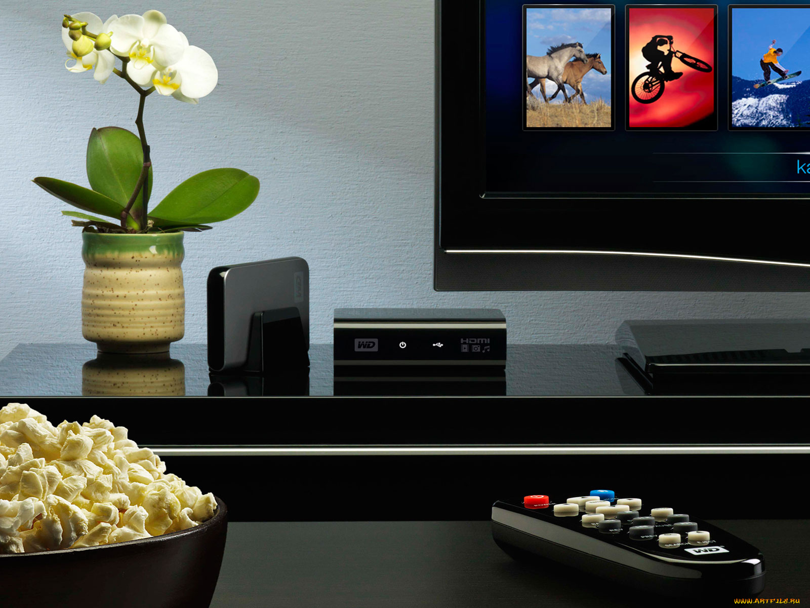 бренды, toshiba