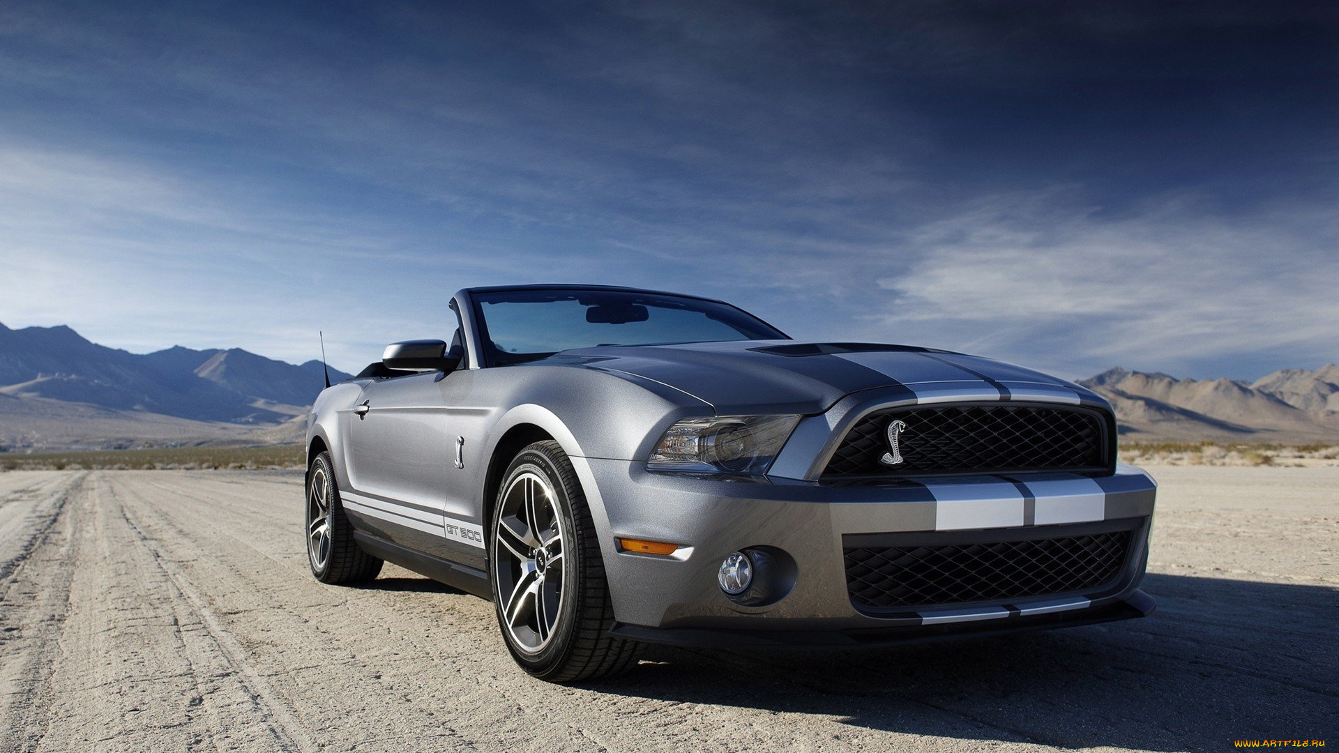 ford, shelby, автомобили, mustang