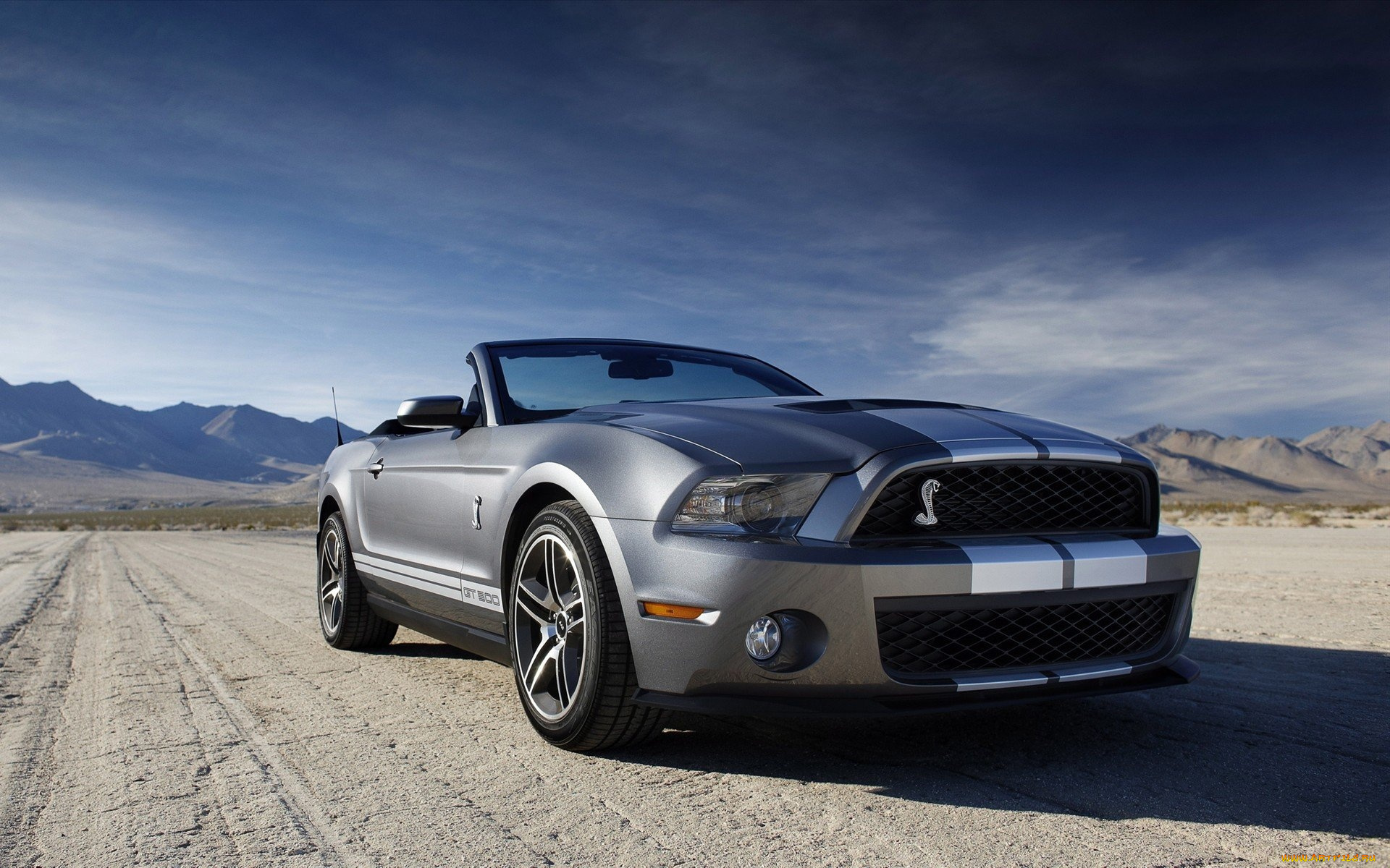 ford, shelby, автомобили, mustang