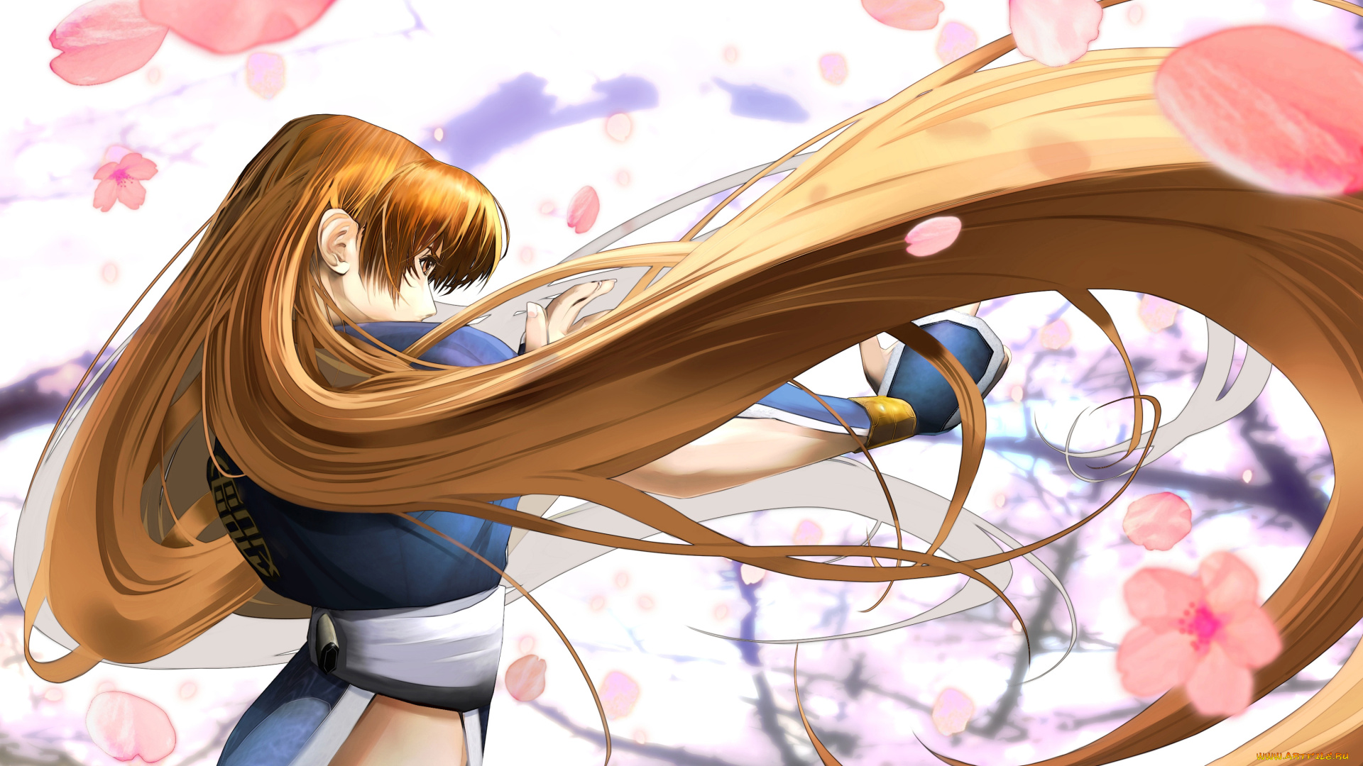 dead, or, alive, dimensions, видео, игры