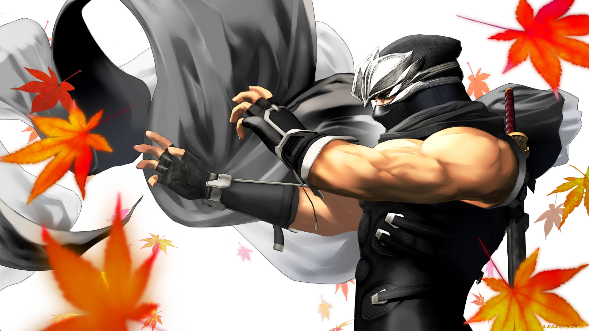 dead, or, alive, dimensions, видео, игры