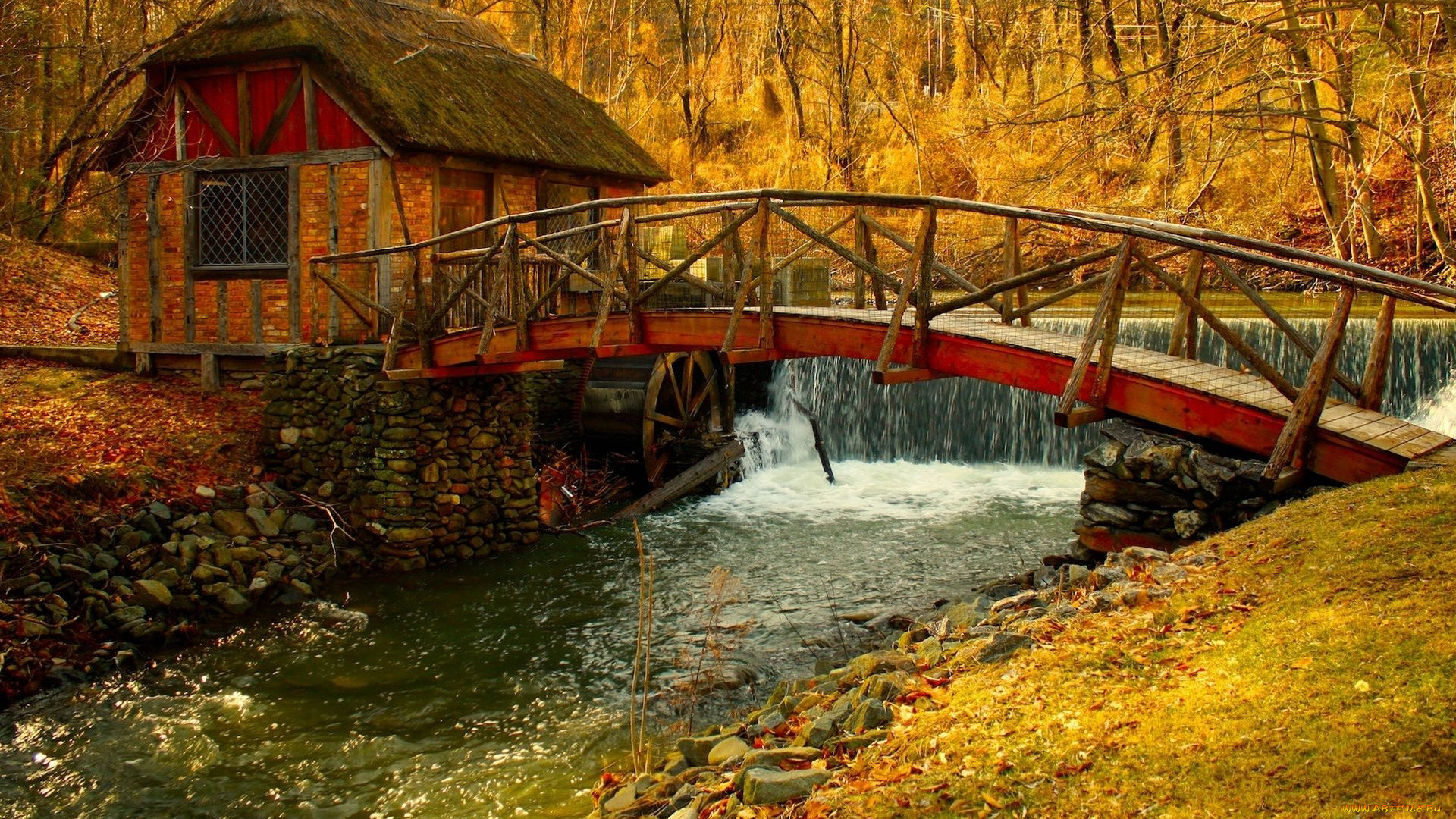 природа, реки, озера