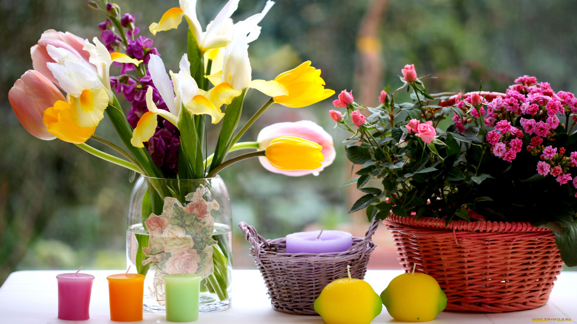 цветы, разные, вместе, свечи, каланхоэ, розы, ирисы, тюльпаны, левкой