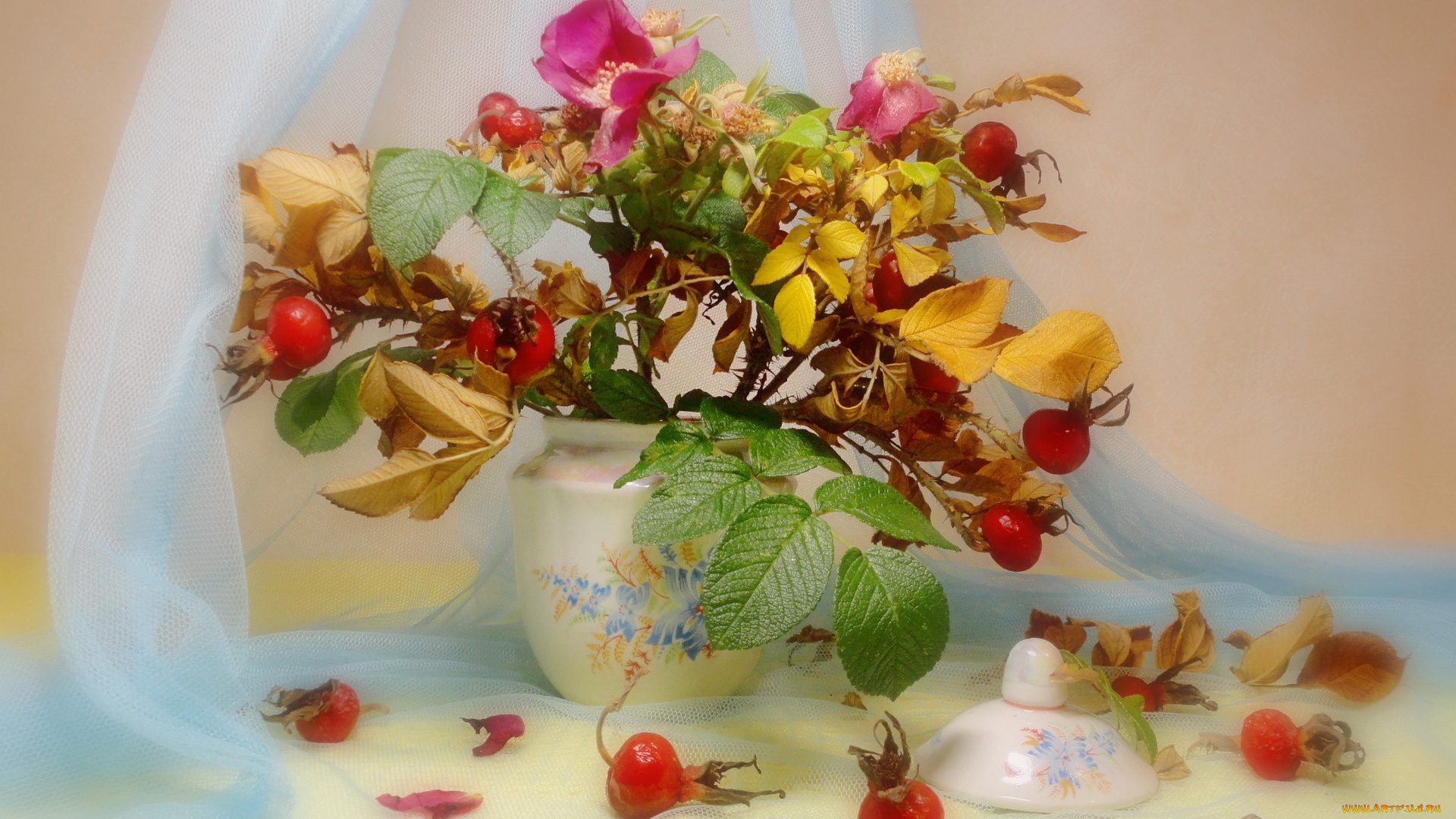 цветы, шиповник, натюрморт, листья, форма, стиль