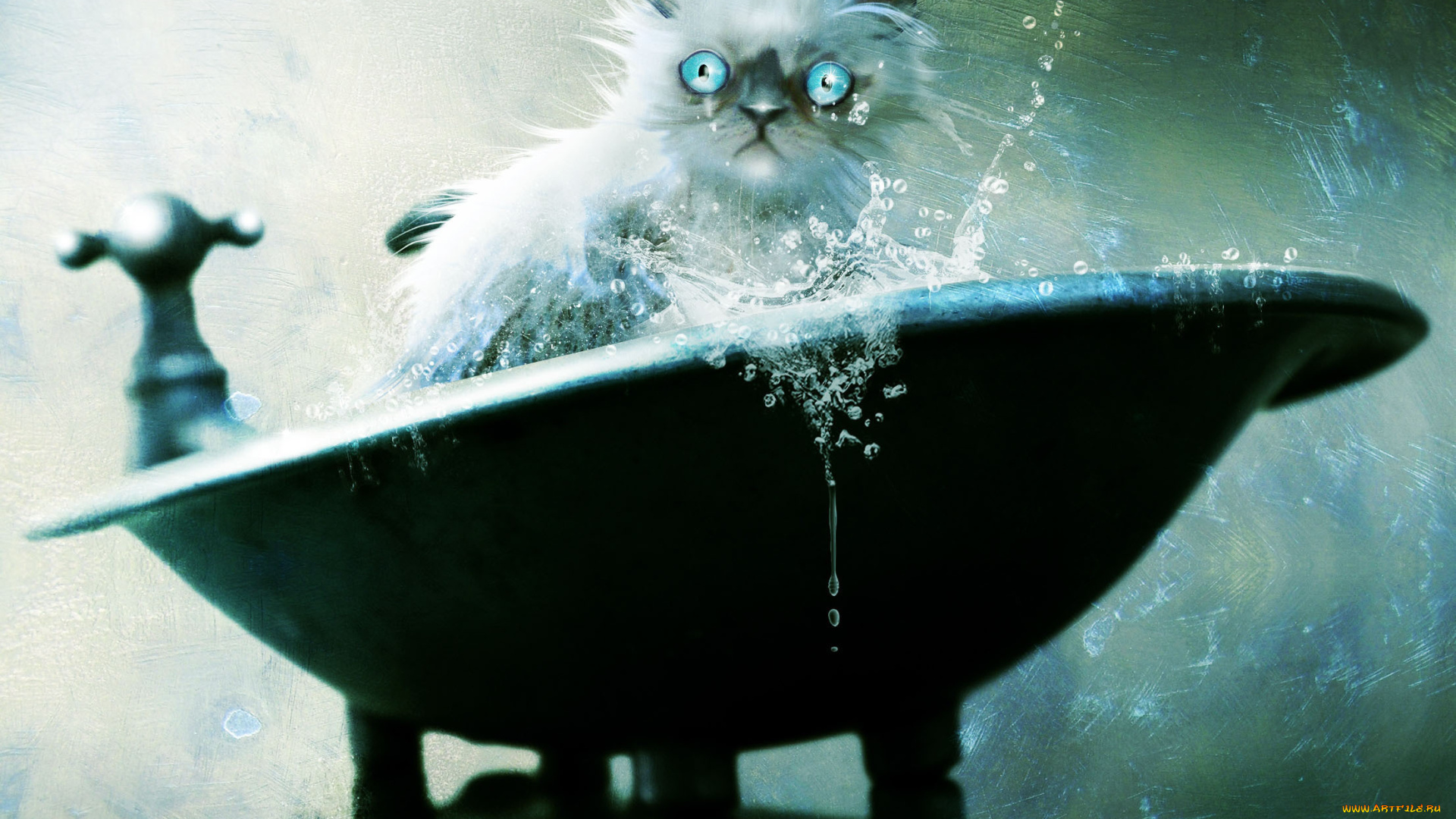 рисованные, животные, коты, ванна, кот