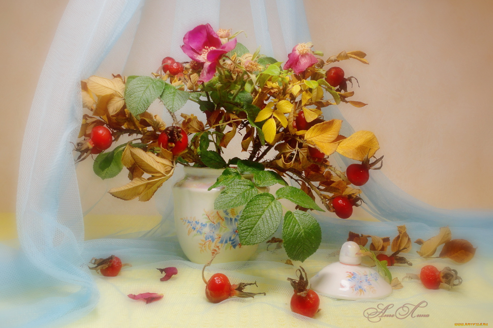 цветы, шиповник, натюрморт, листья, форма, стиль