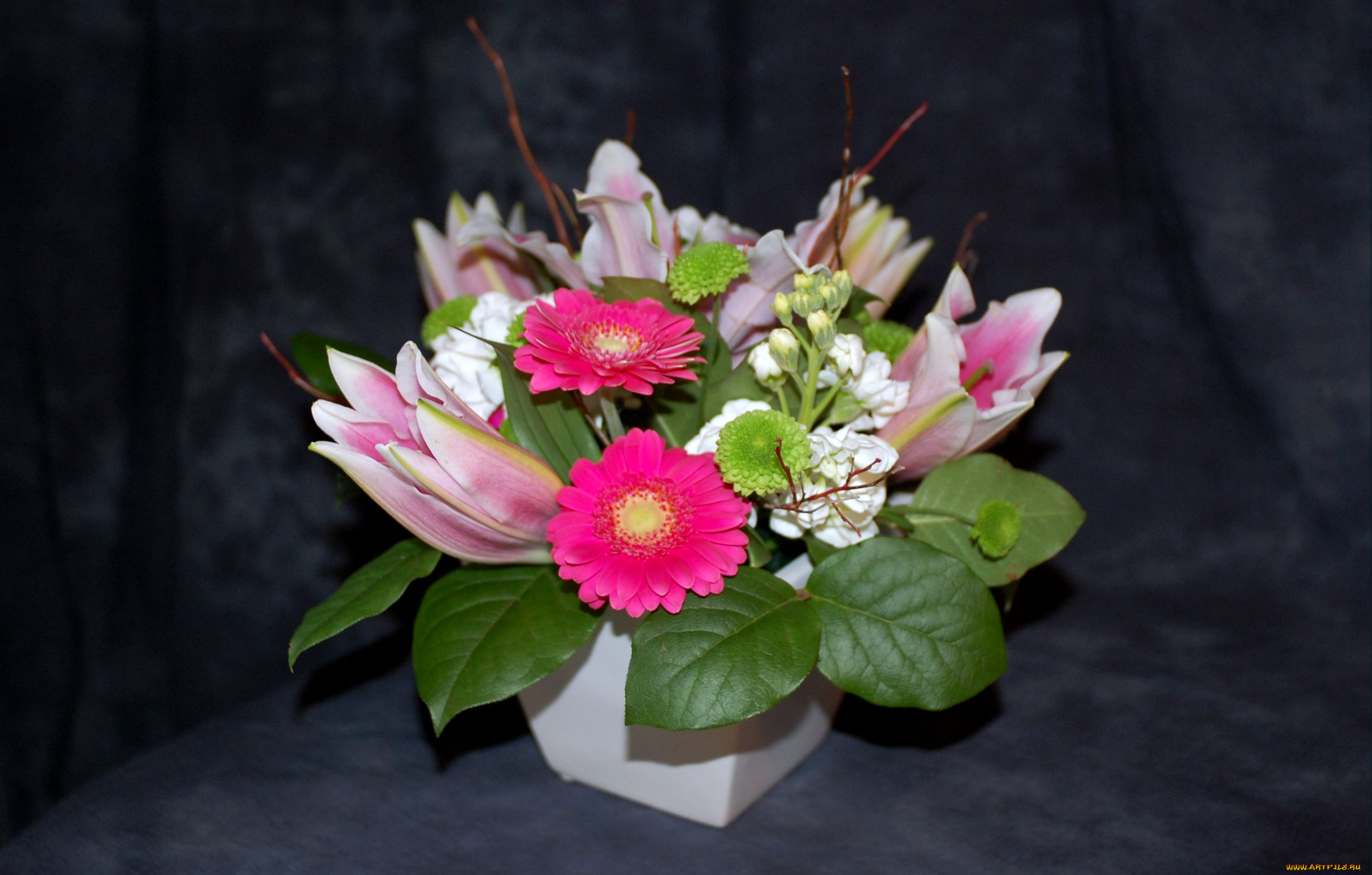 цветы, букеты, композиции, герберы, лилии, левкой