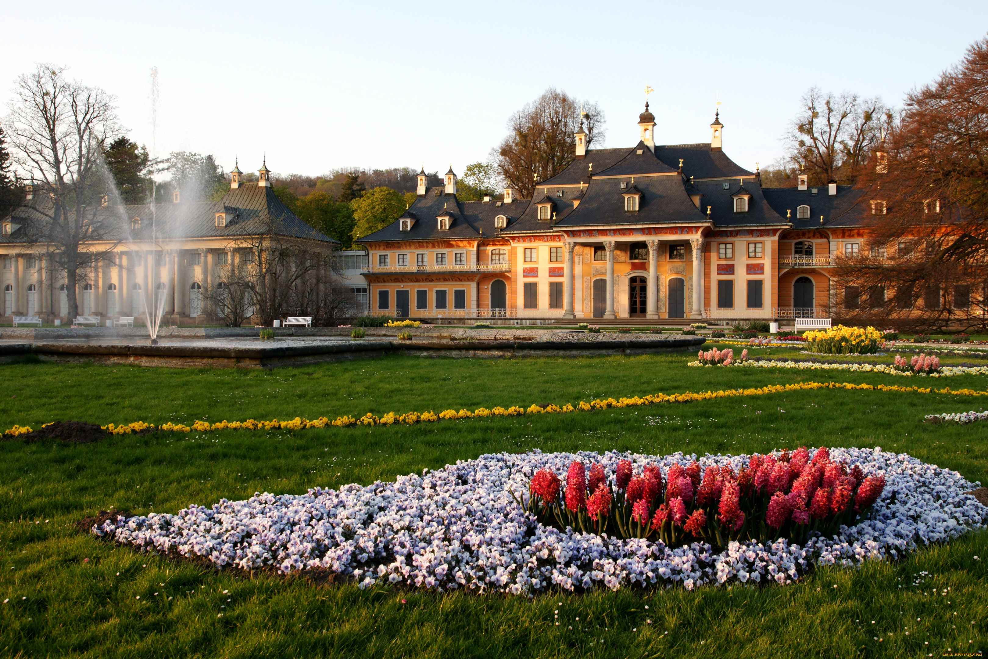 города, дрезден, германия, pillnitz