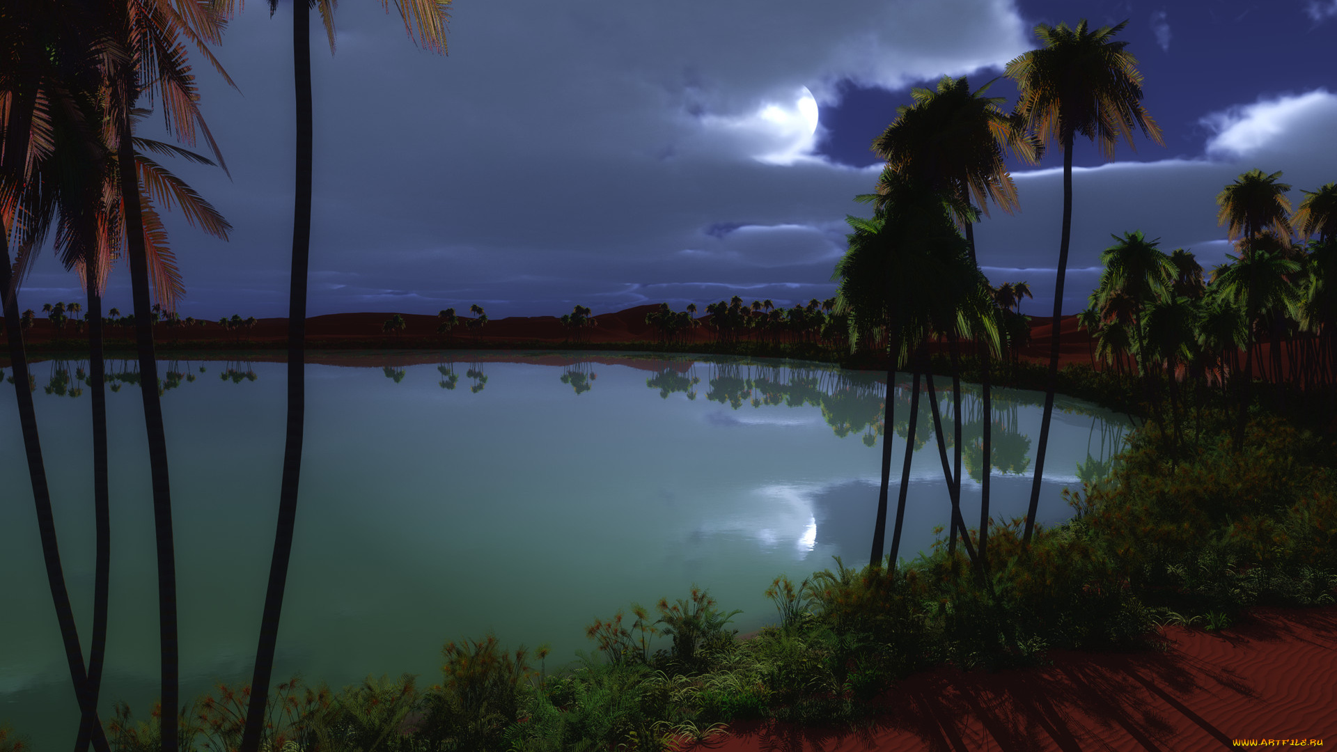 3д, графика, nature, landscape, природа, пальмы, вода