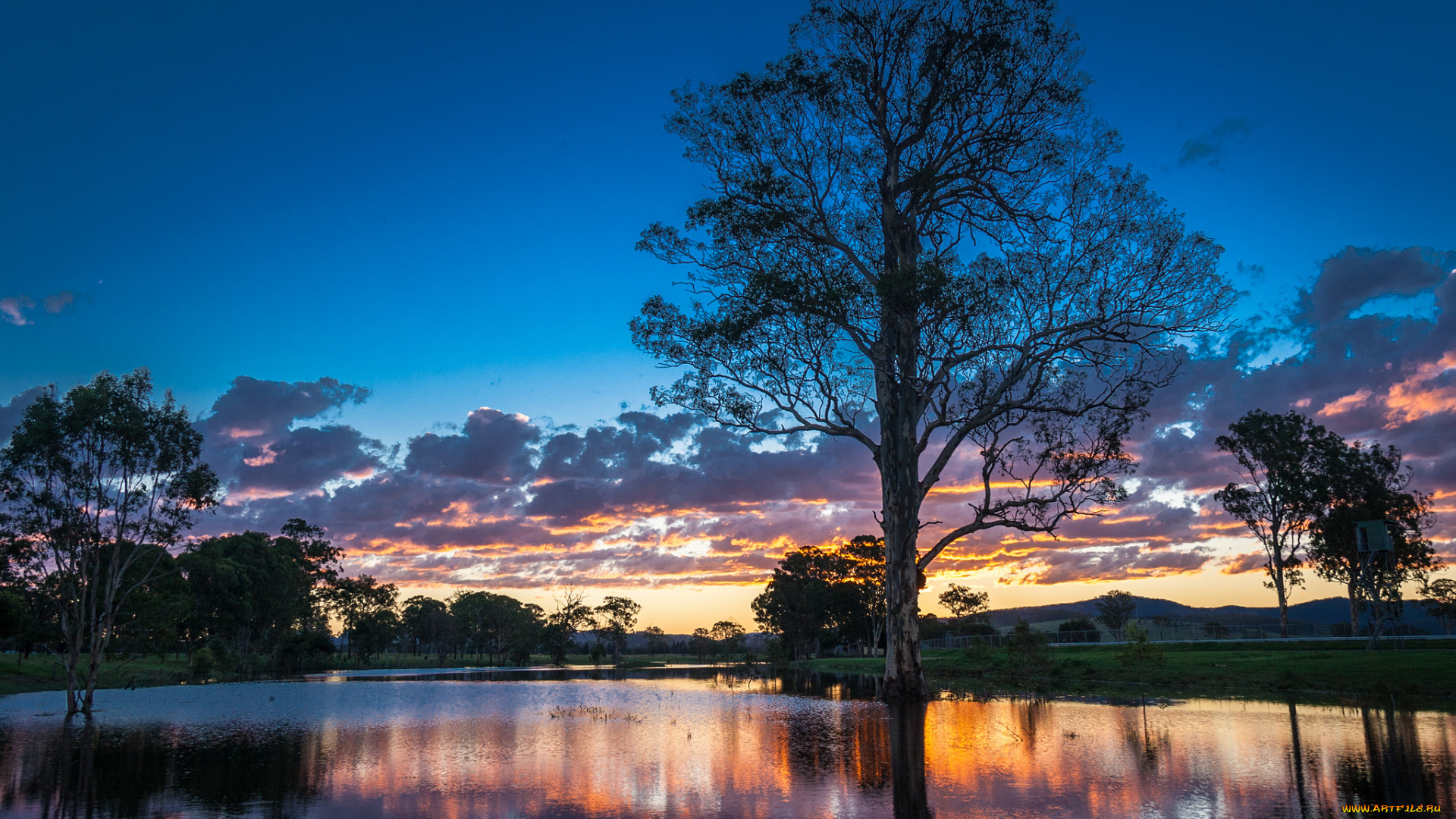australia, природа, восходы, закаты, деревья, река, закат, австралия