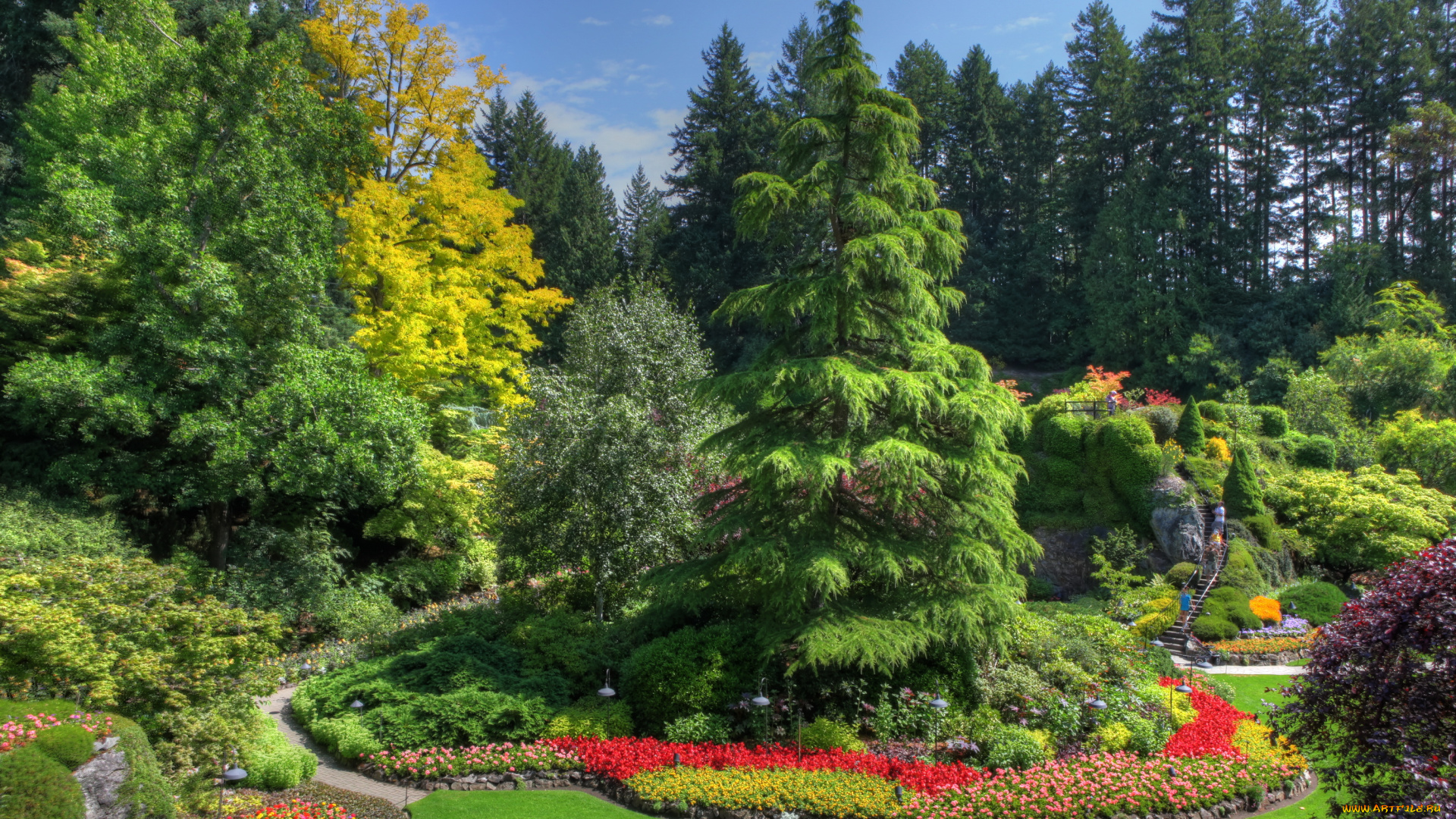 butchart, gardens, природа, парк, растения, сад