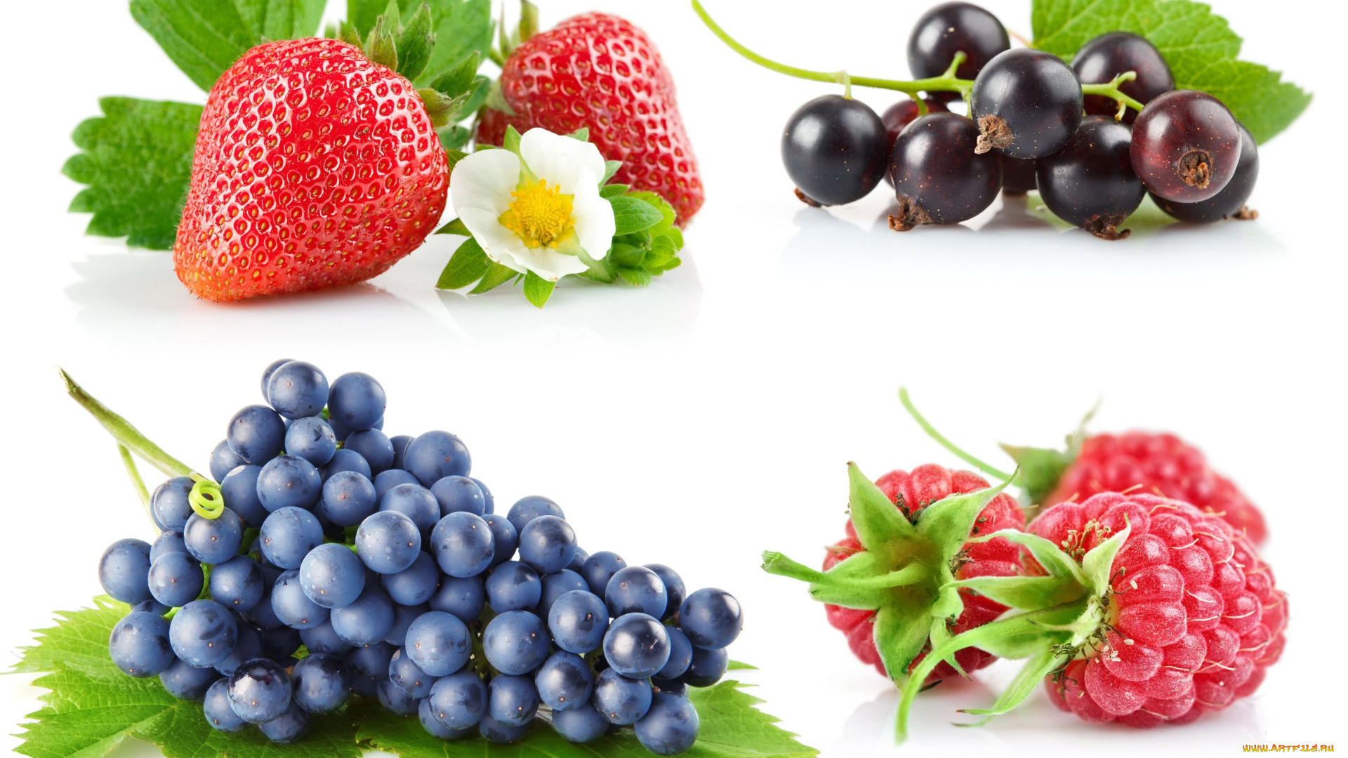 еда, фрукты, ягоды, коллаж