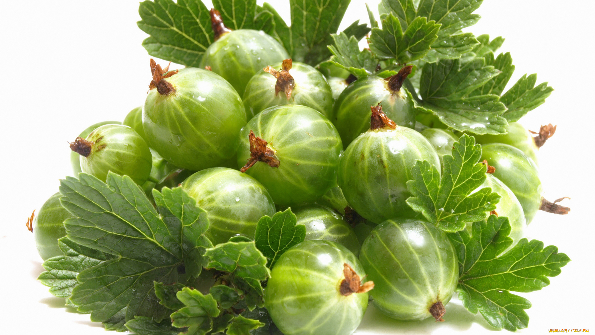 еда, крыжовник, горсть, ягоды, дары, лета, листья