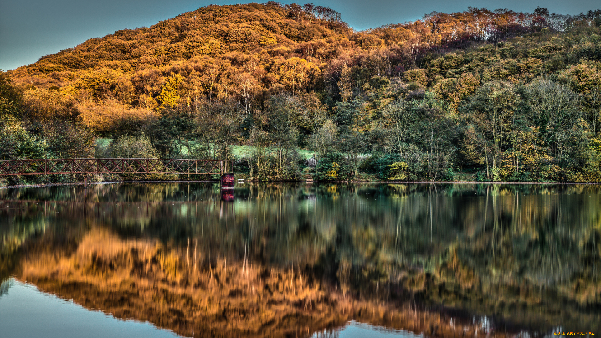 ercall, hill, shropshire, england, природа, реки, озера, лес, англия, озеро, холмы, мост, отражение, осень