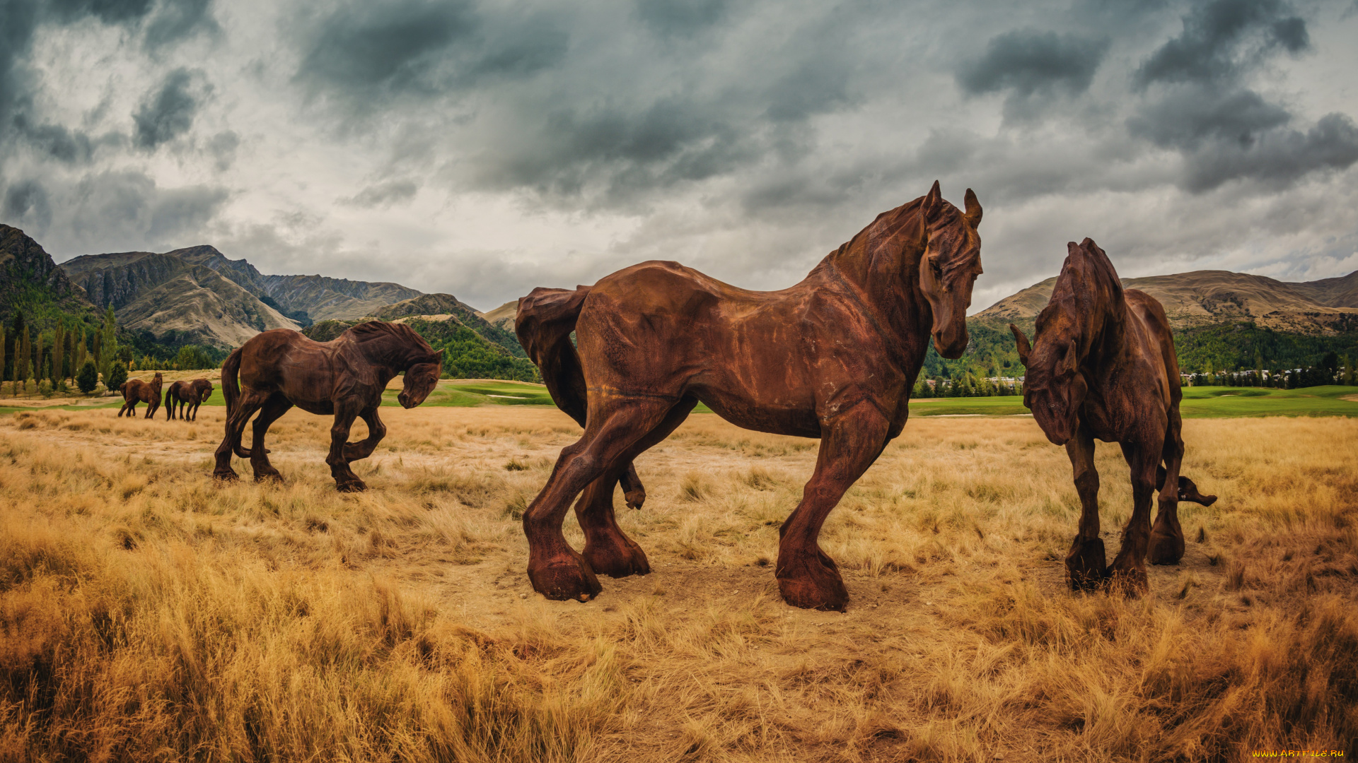 города, памятники, скульптуры, арт, объекты, новая, зеландия, лошади
