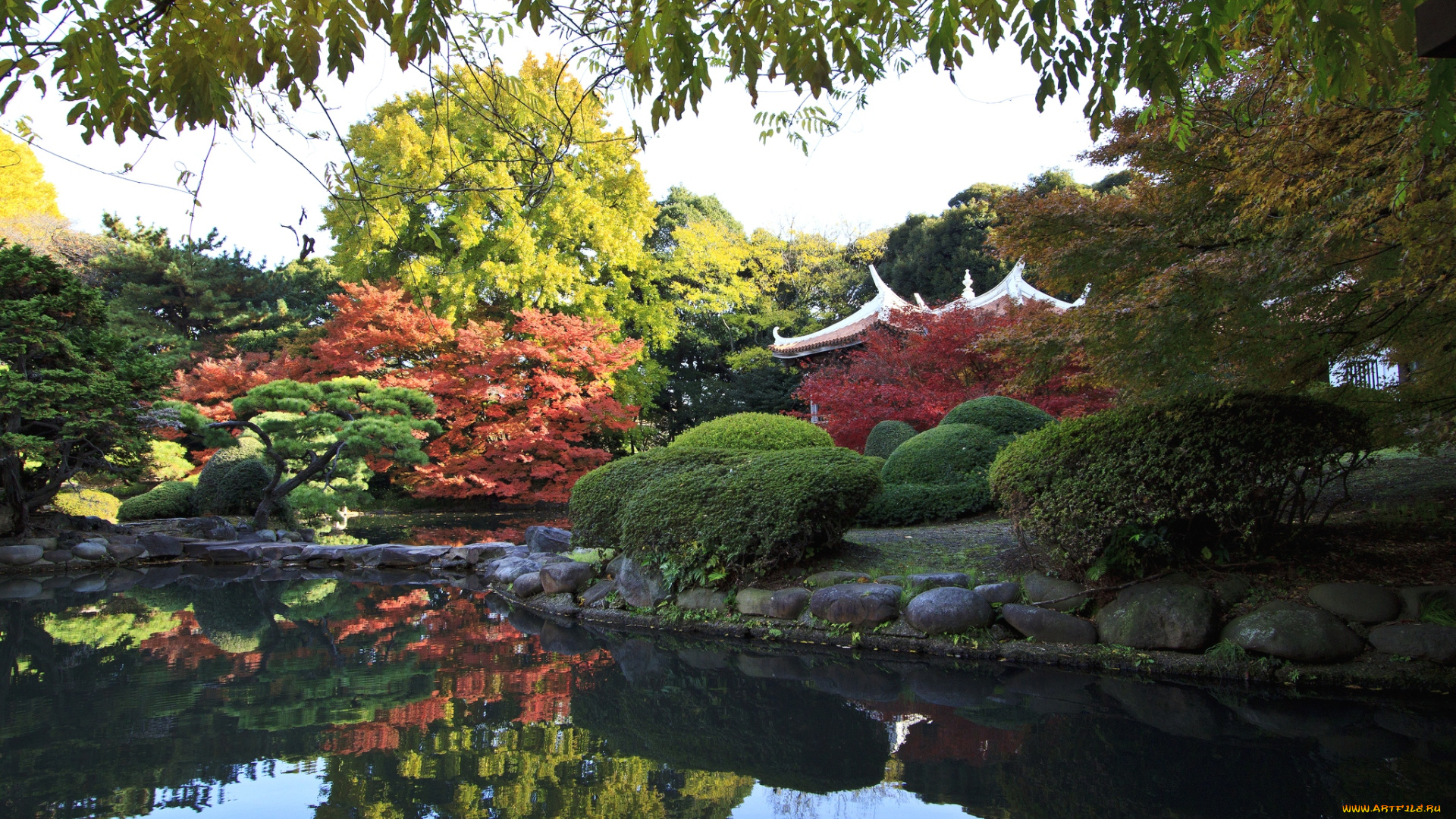 природа, парк, пагода, деревья, кусты, пруд