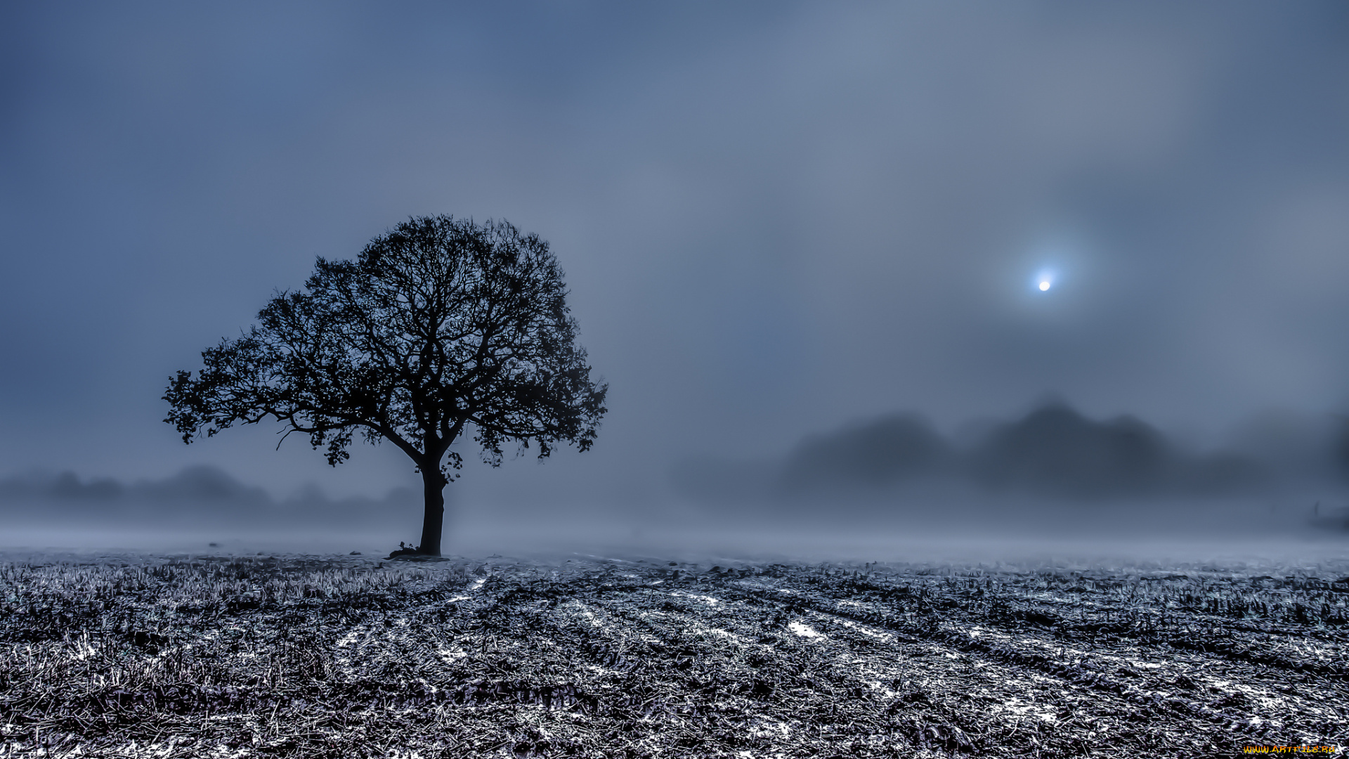 природа, поля, утро, туман, жнивьё, дерево