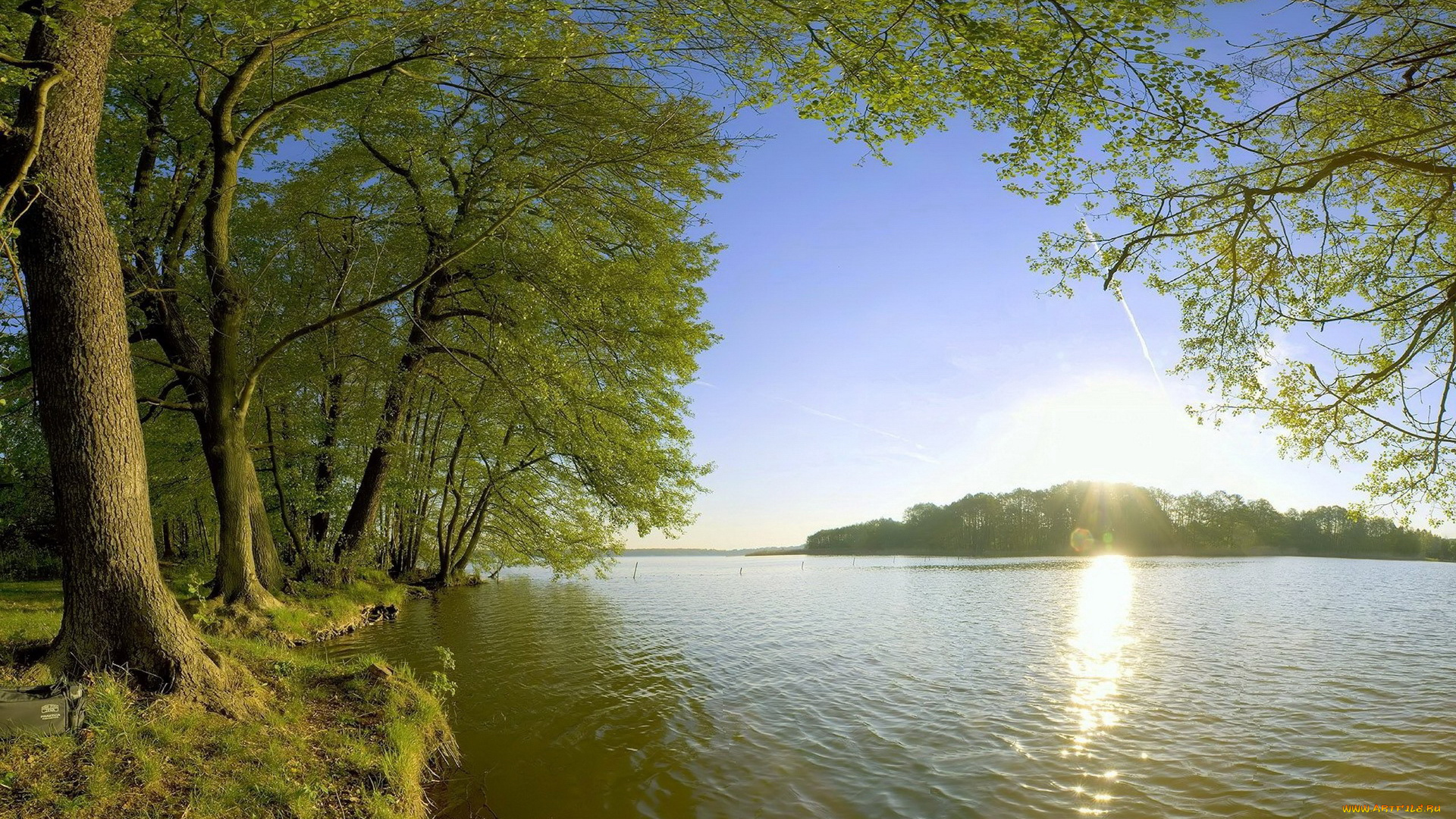 природа, реки, озера, деревья, озеро