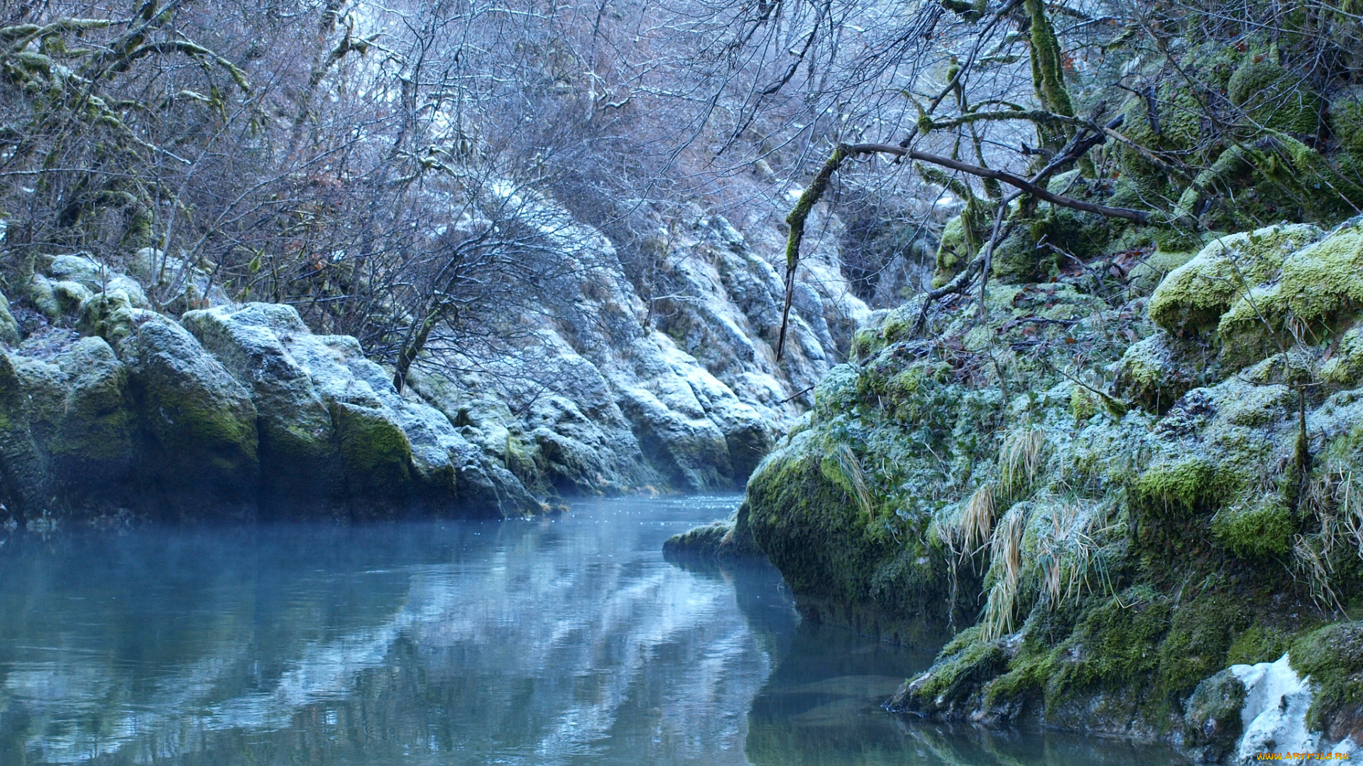 природа, реки, озера, лес, река