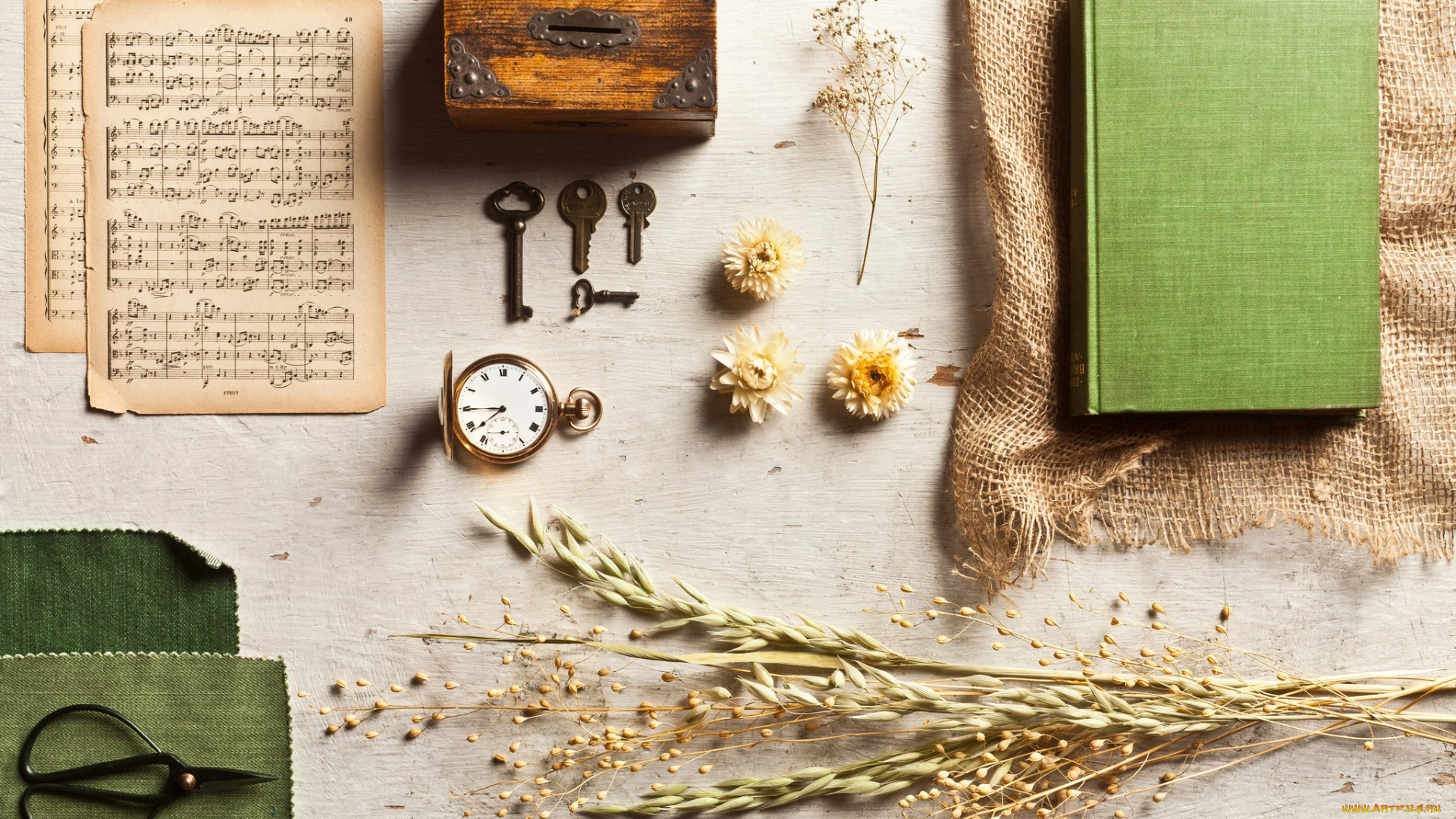 разное, другое, порядок, книга, часы, ноты, ключи, овес