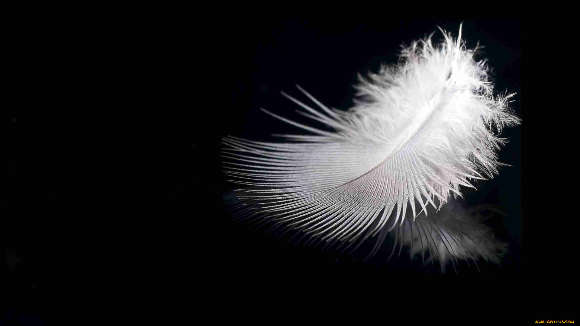 разное, перья, перышко