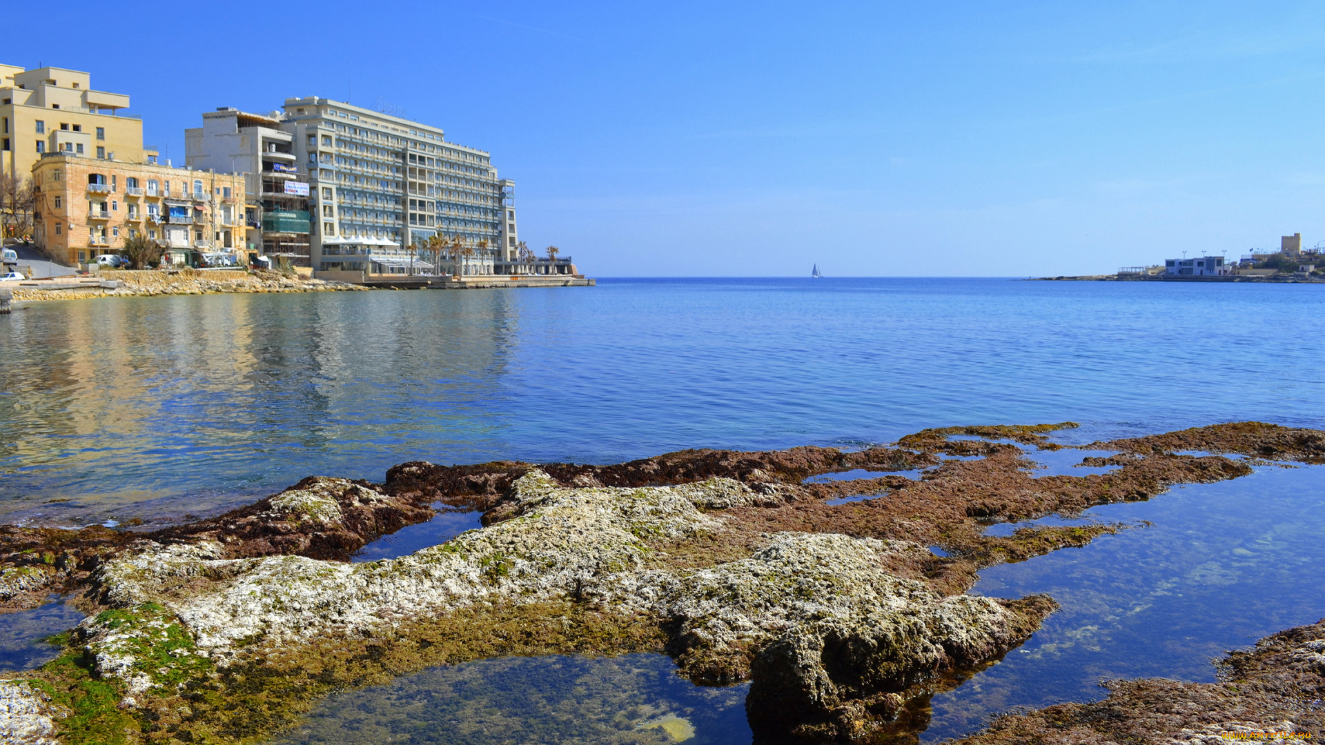 st, julian`s, malta, города, пейзажи, берег, дома, море
