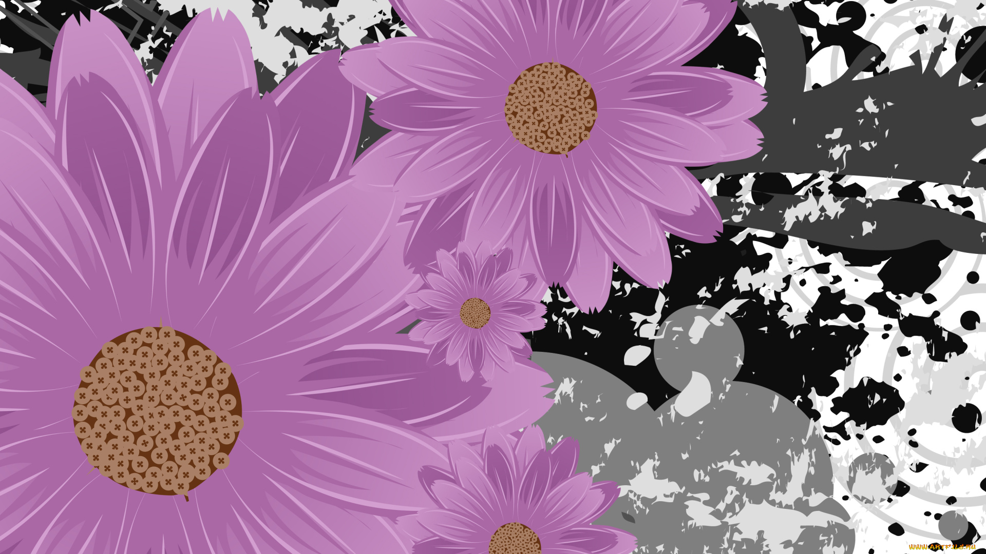 векторная, графика, цветы, лепестки