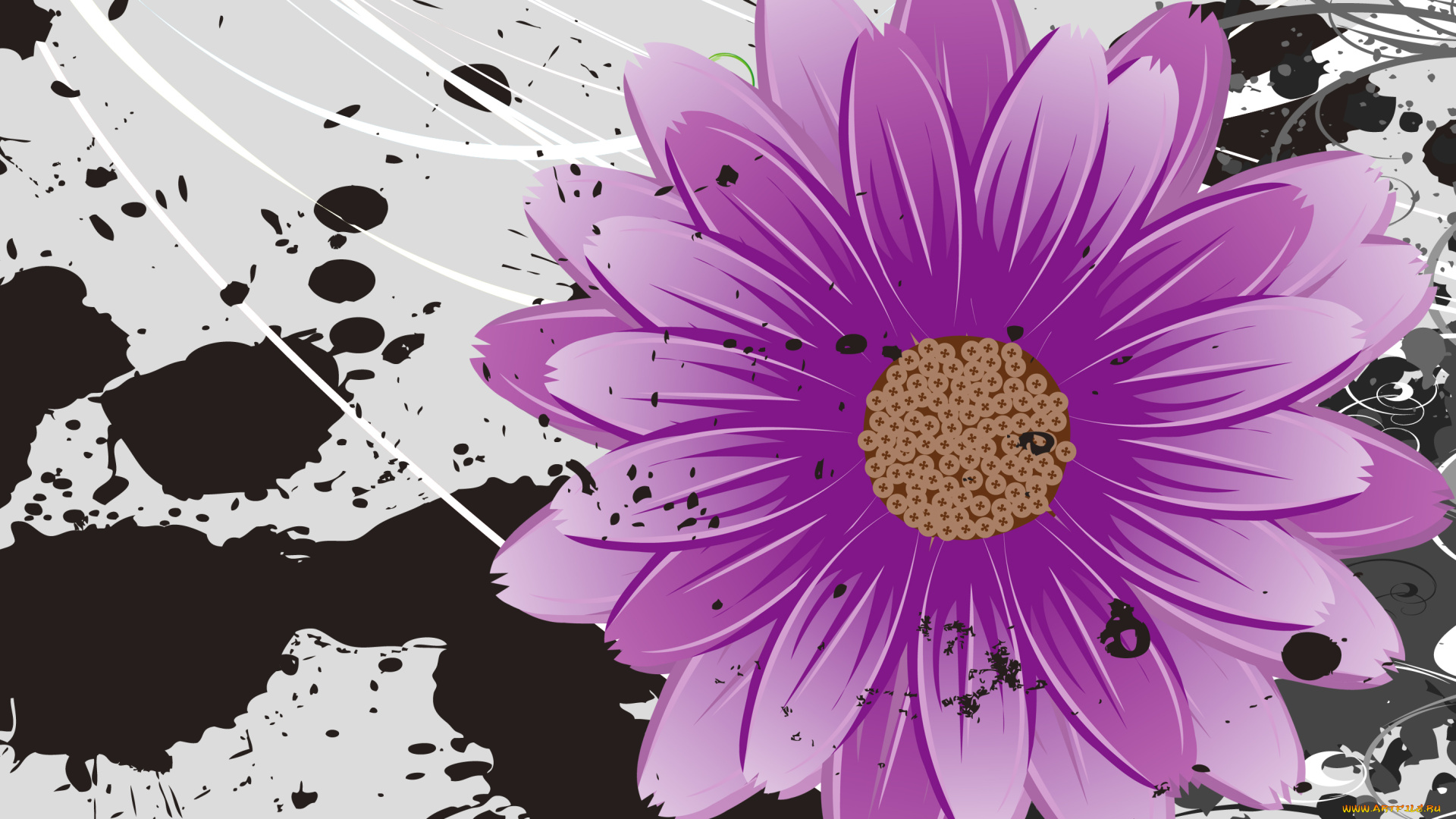 векторная, графика, лепестки, цветы