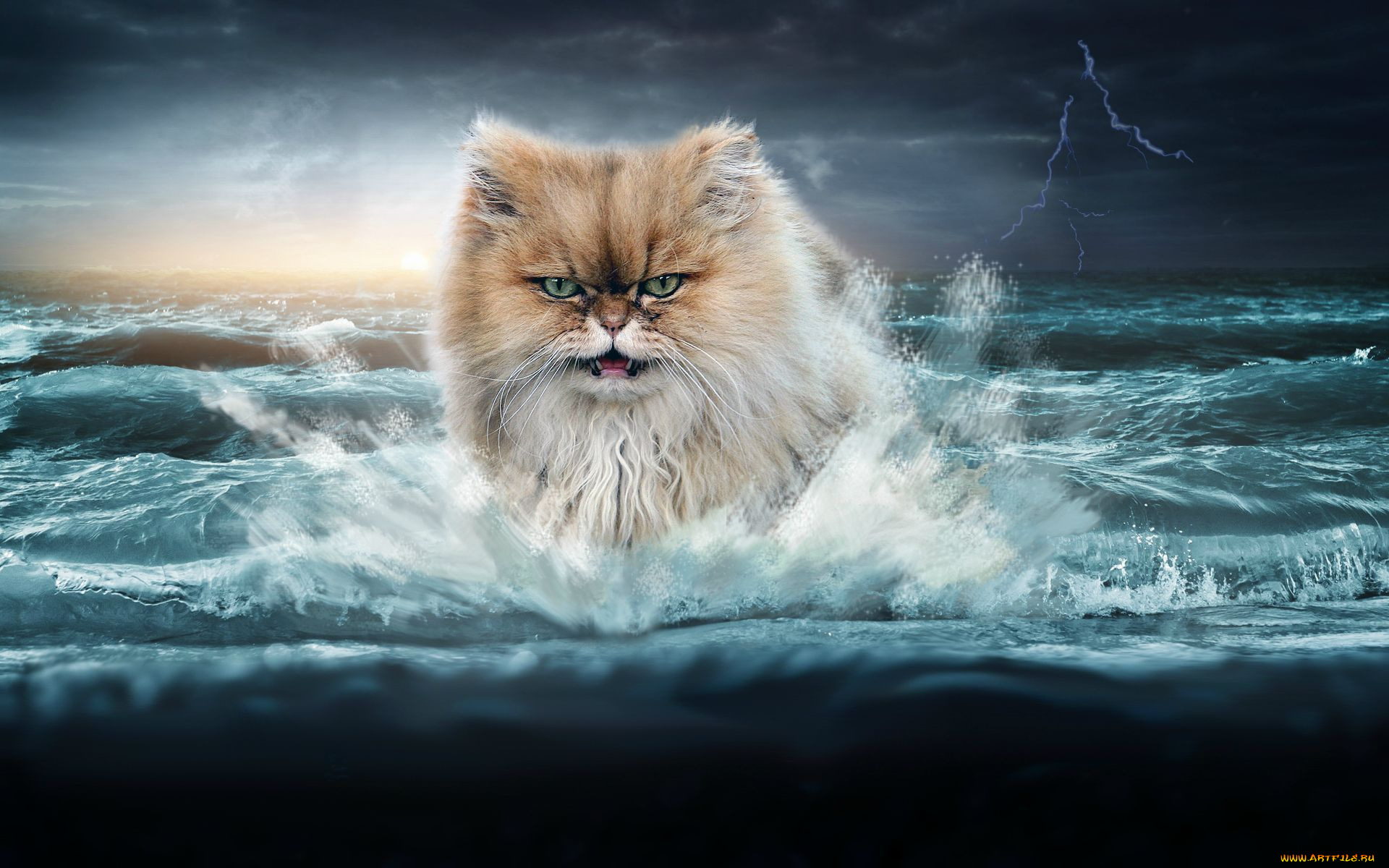 разное, компьютерный, дизайн, море, кот, молния, волны