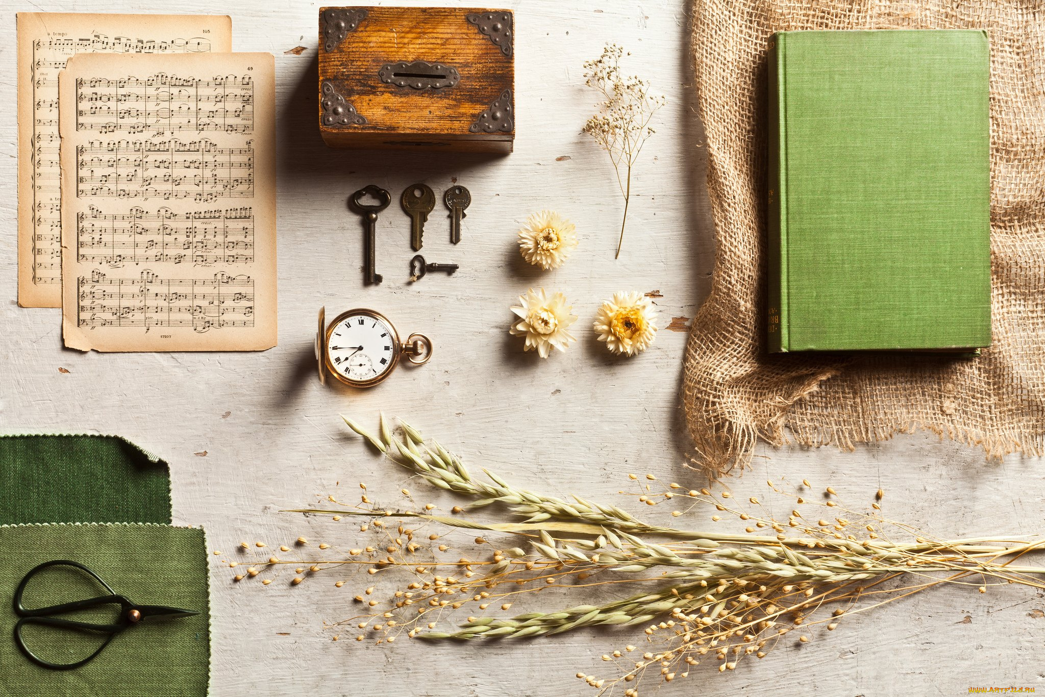 разное, другое, порядок, книга, часы, ноты, ключи, овес