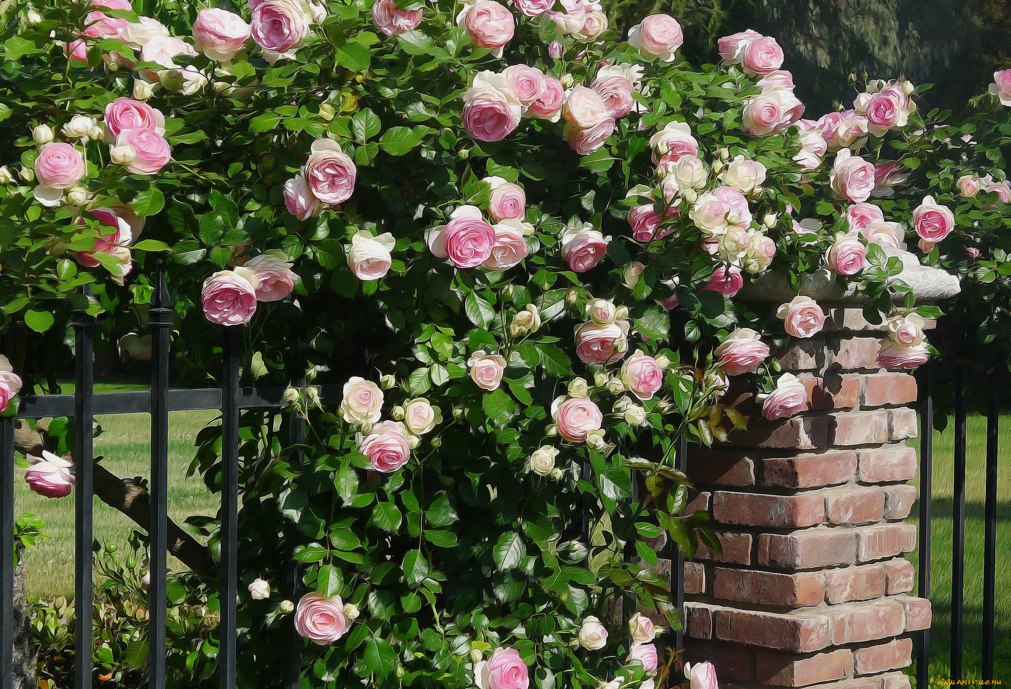 разное, компьютерный, дизайн, забор, розы