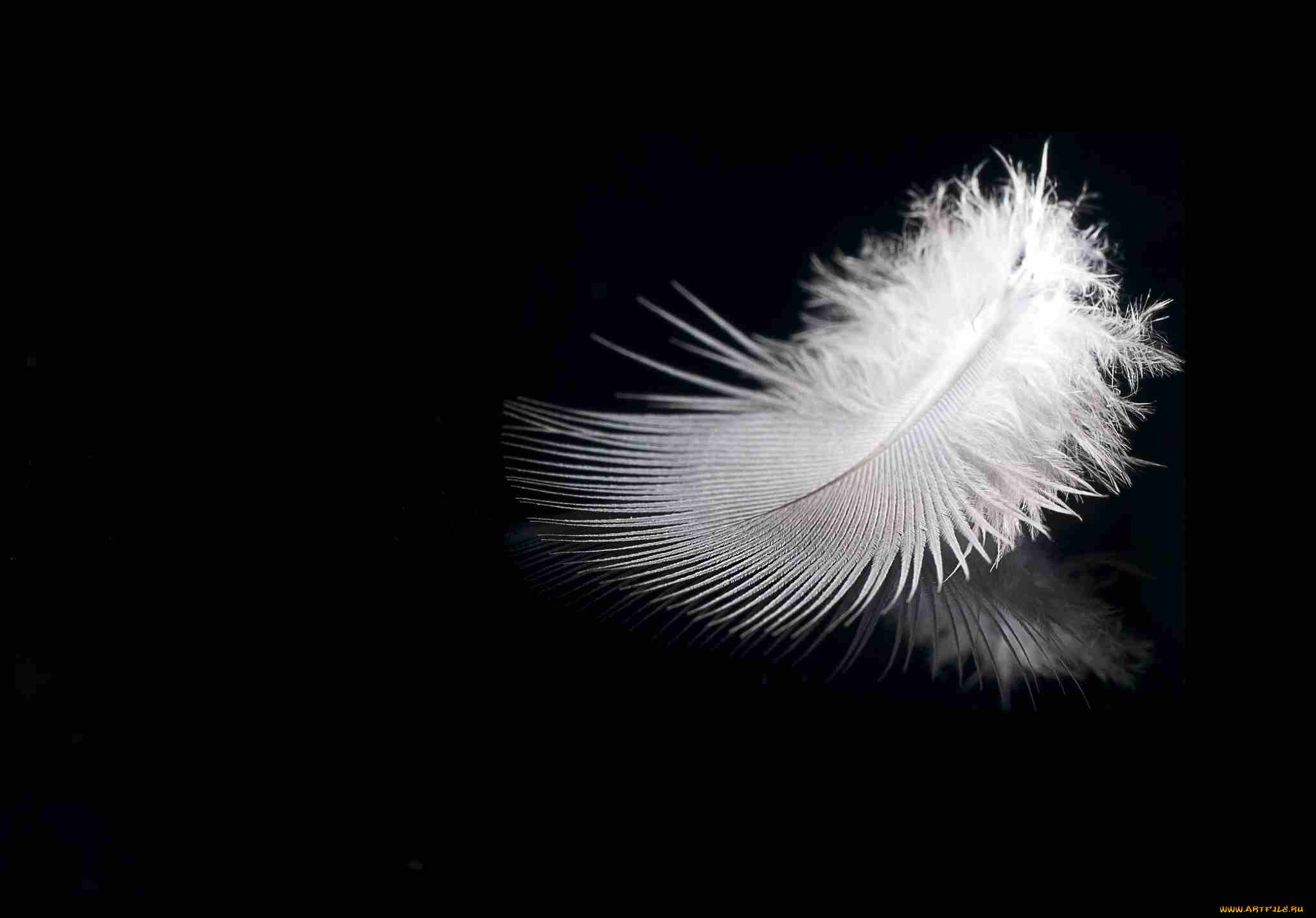 разное, перья, перышко