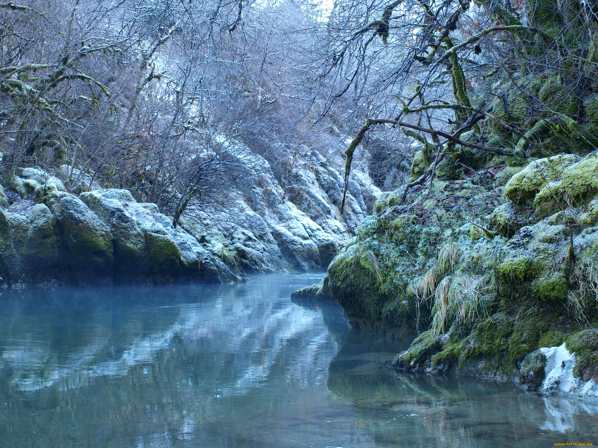 природа, реки, озера, лес, река