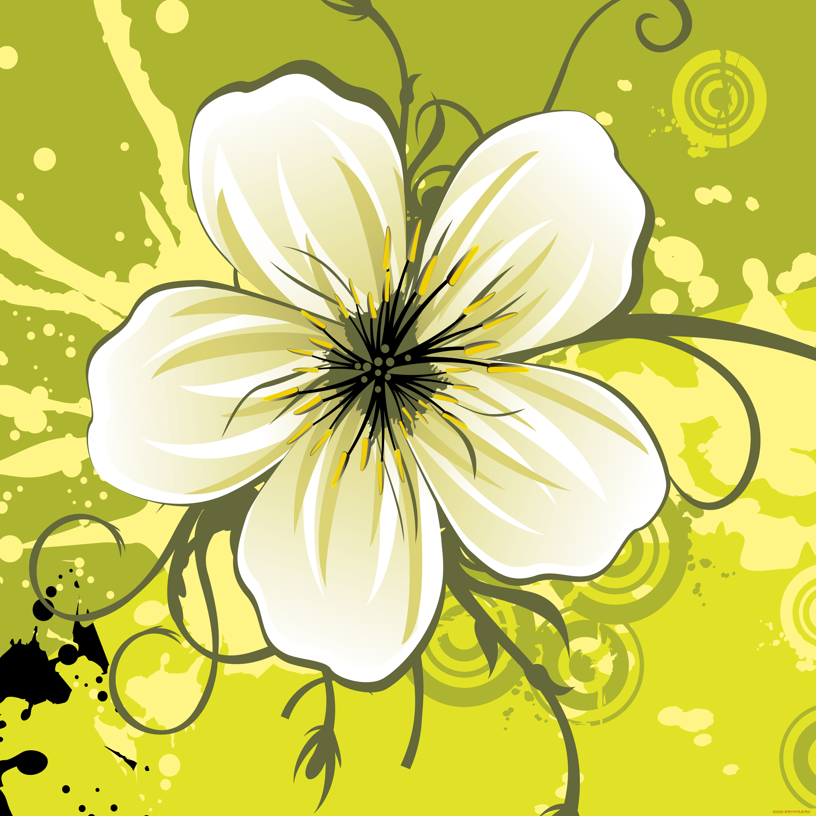 векторная, графика, цветы, лепестки