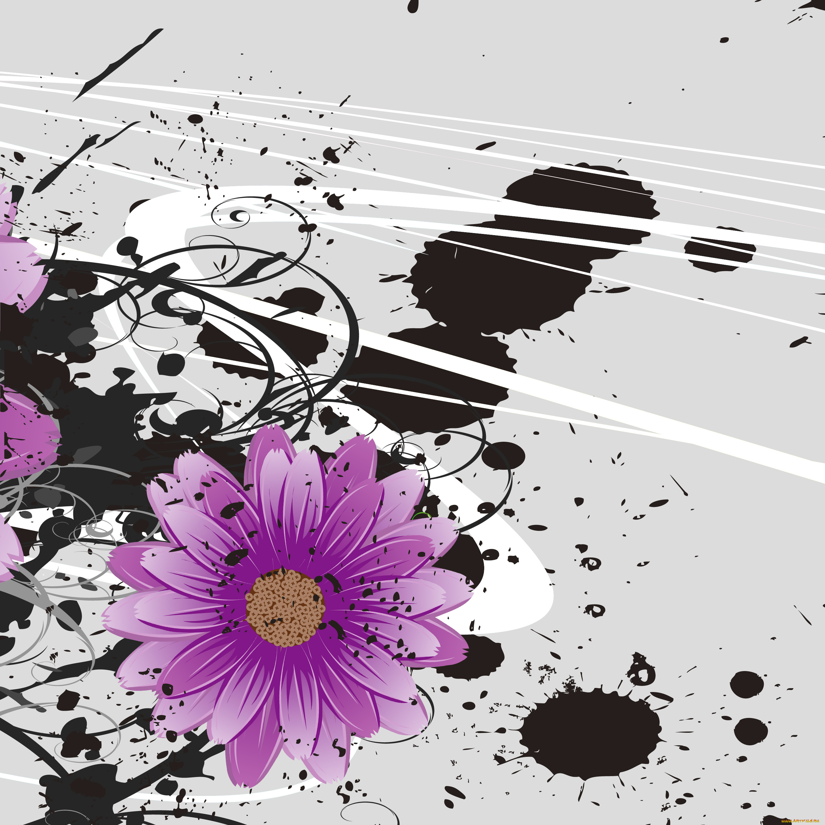 векторная, графика, лепестки, цветы