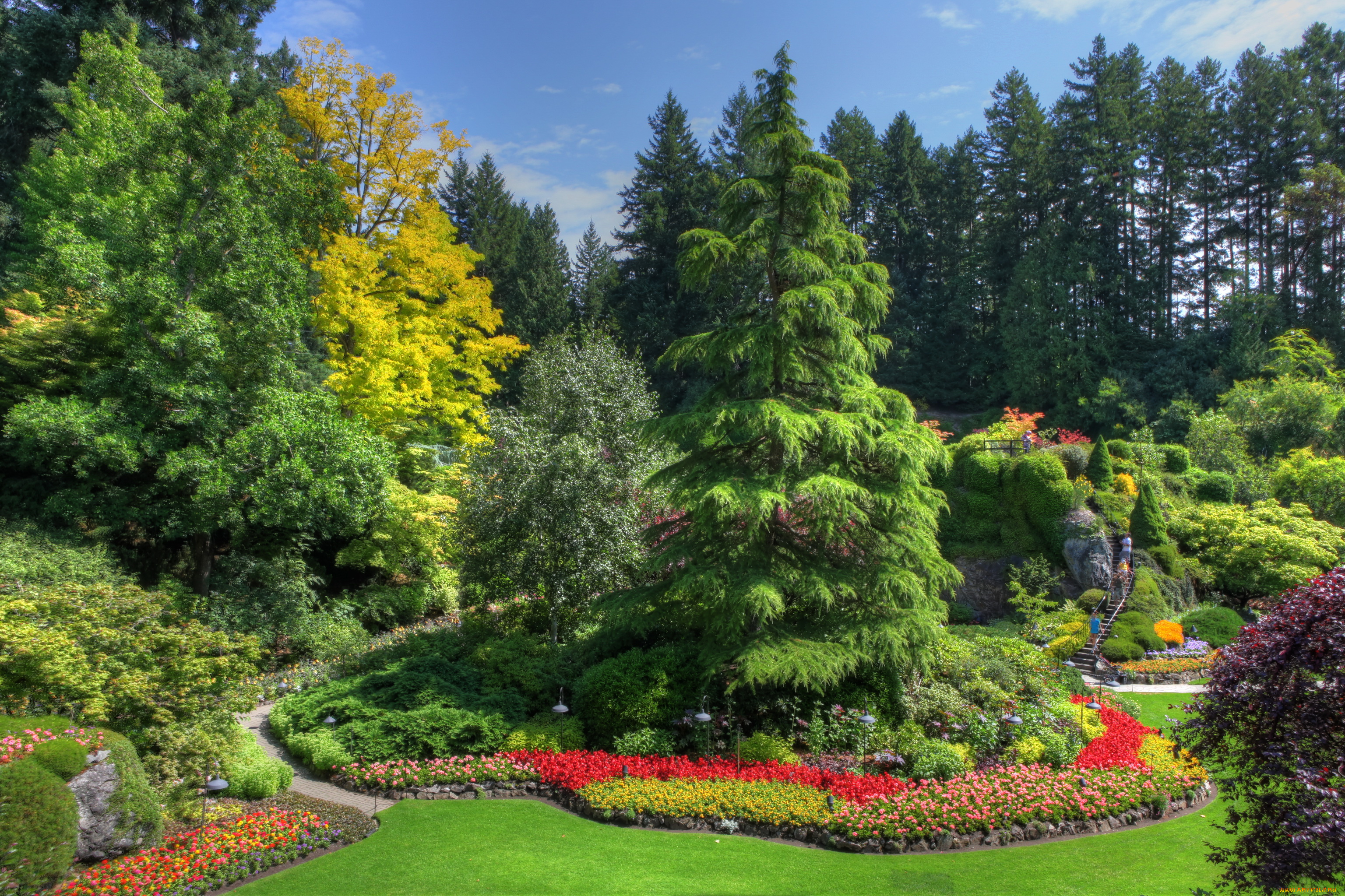 butchart, gardens, природа, парк, растения, сад
