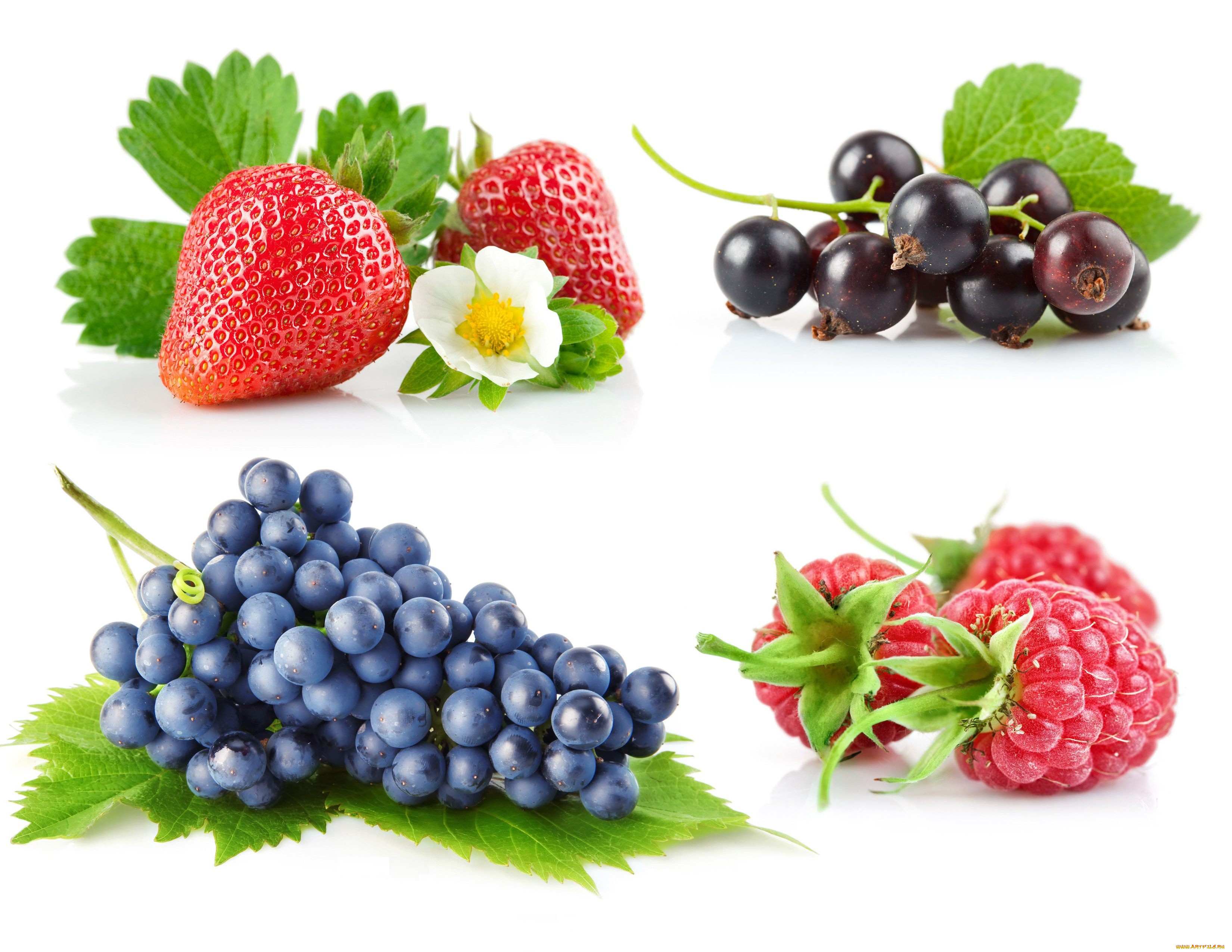 еда, фрукты, ягоды, коллаж