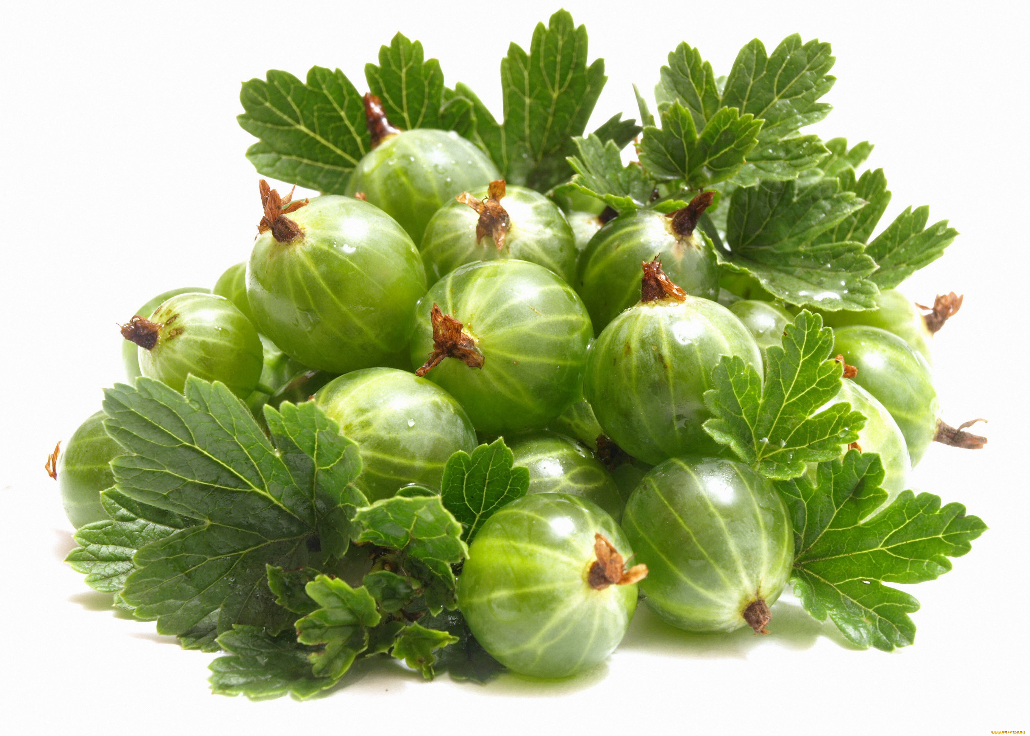 еда, крыжовник, горсть, ягоды, дары, лета, листья