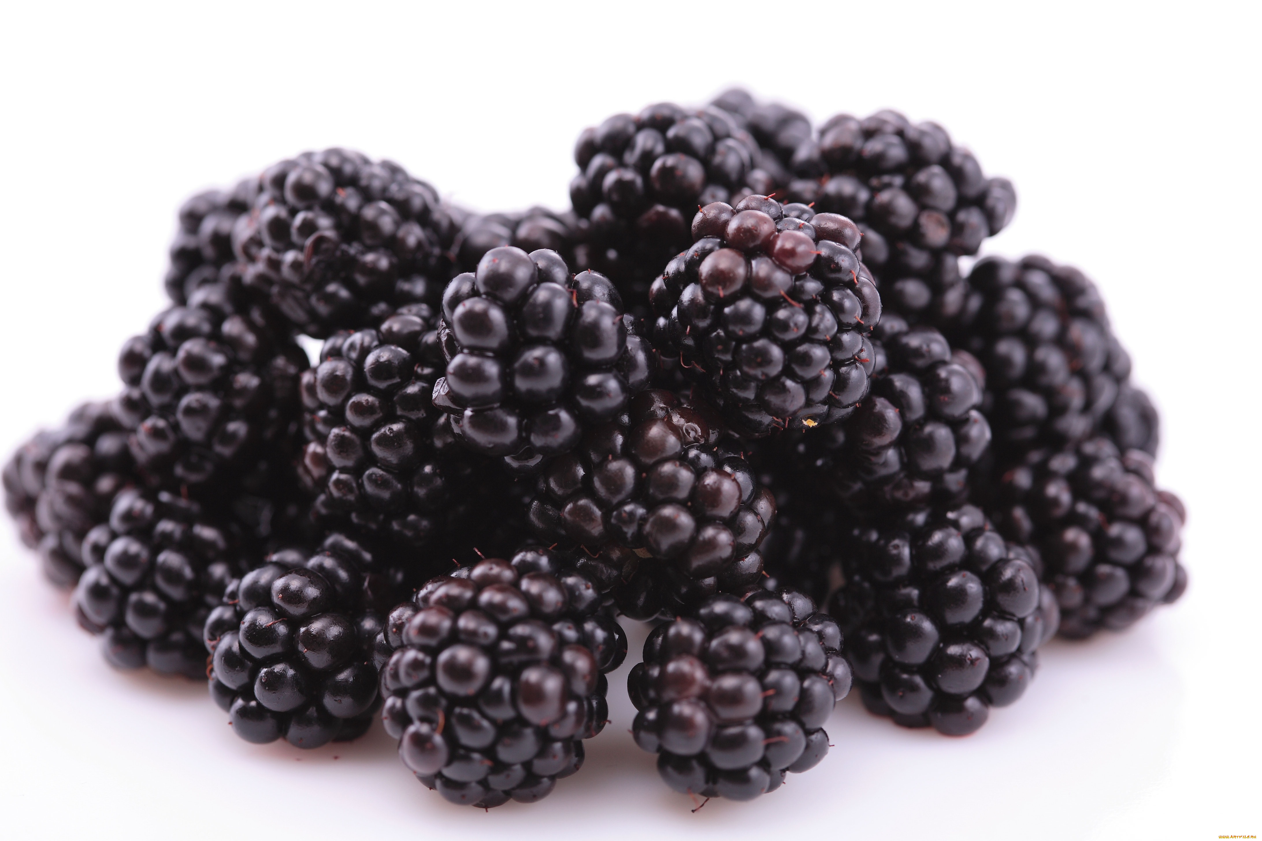 еда, ежевика, ягоды, горсть, витамины