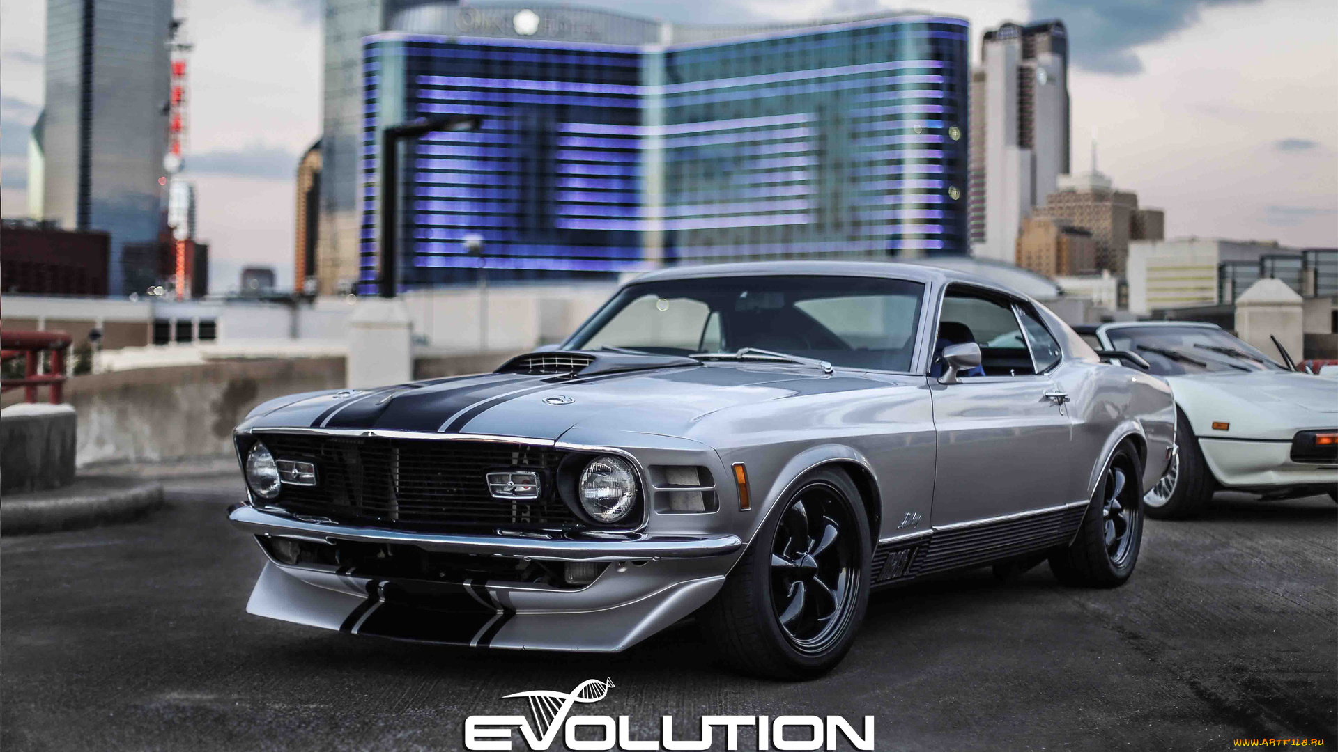 автомобили, выставки, и, уличные, фото, ford, mustang