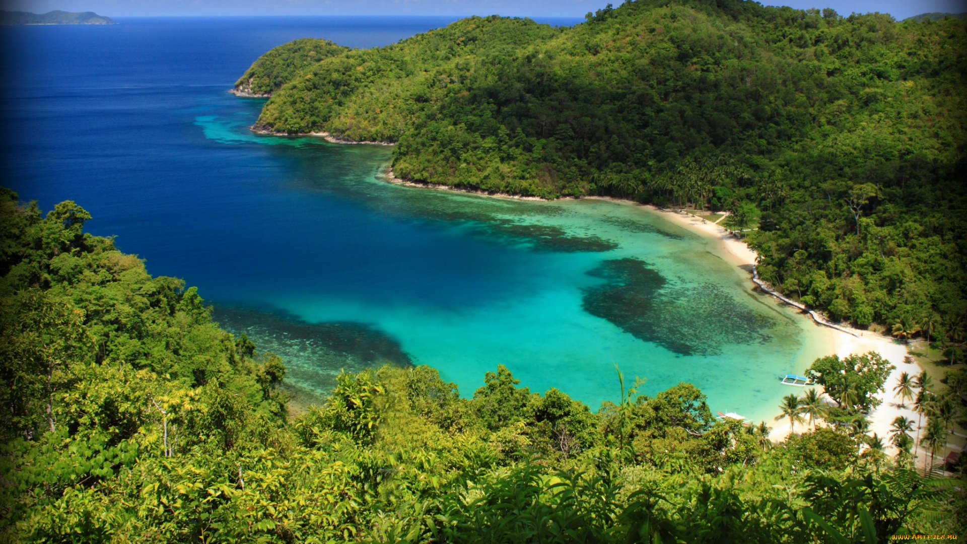 природа, тропики, лето