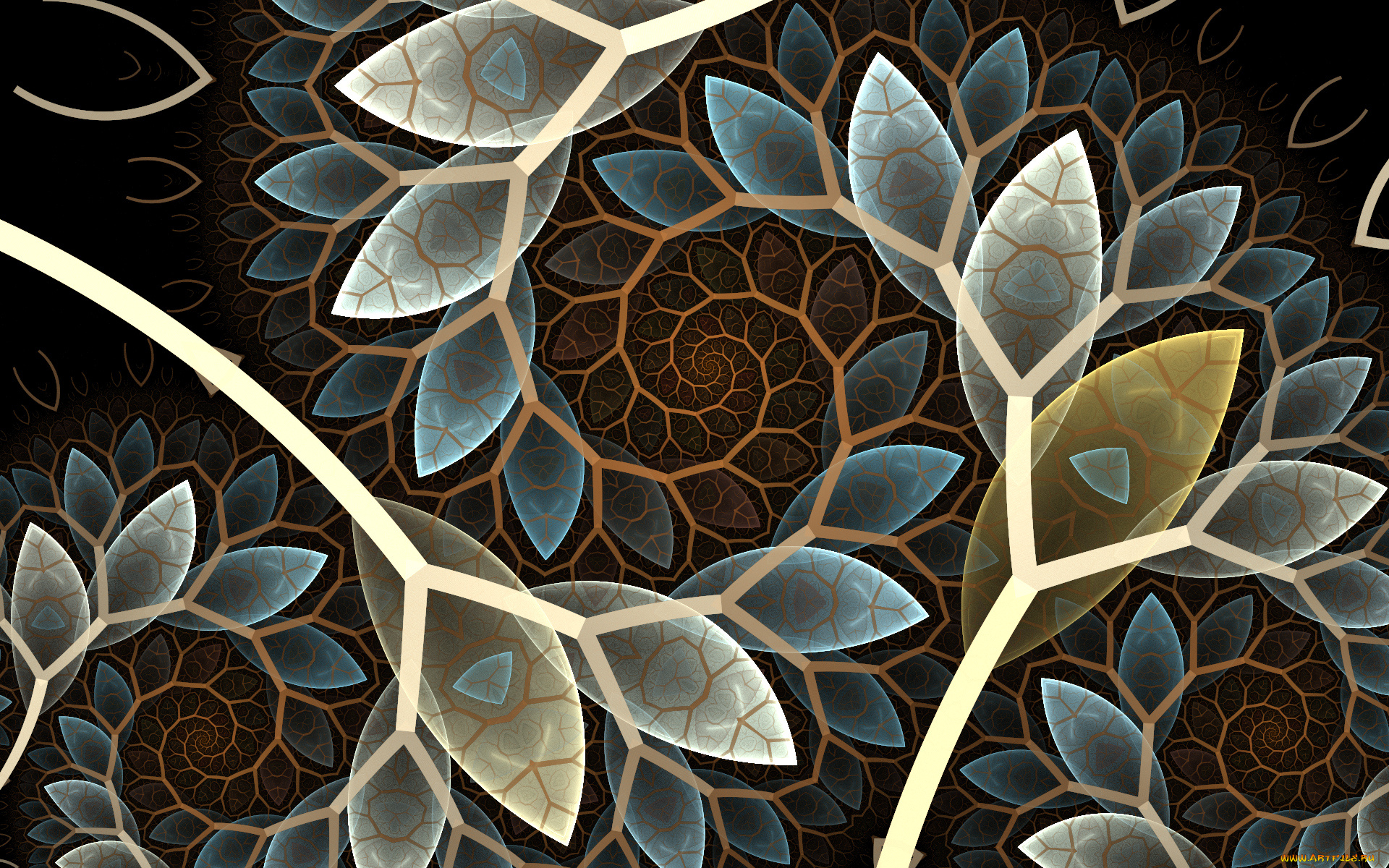 3д, графика, fractal, , фракталы, цвета, фон, узор