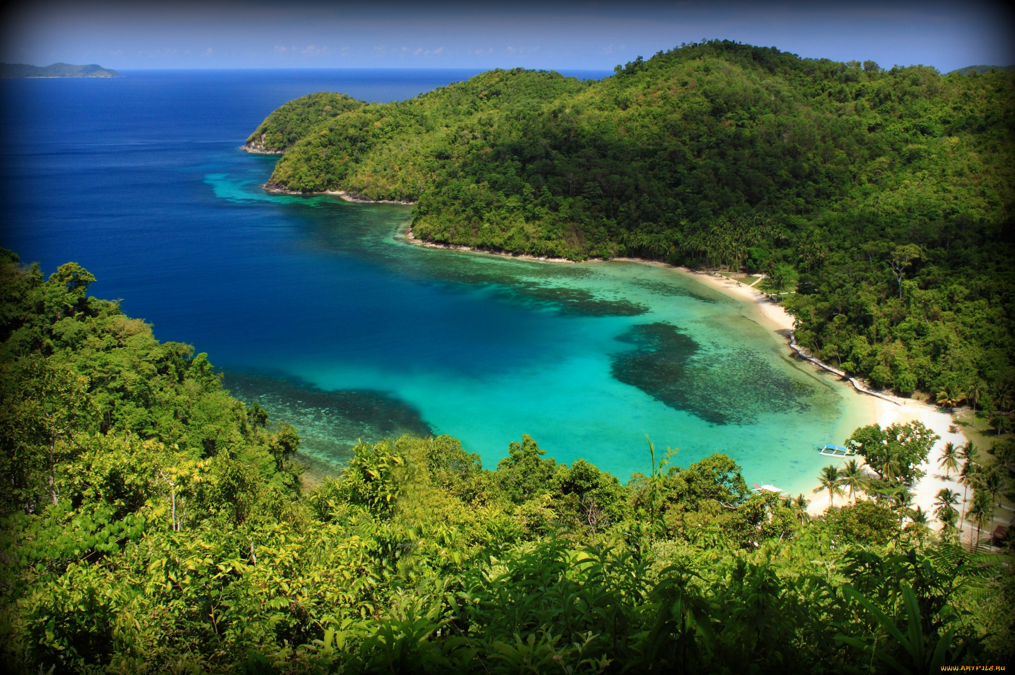 природа, тропики, лето