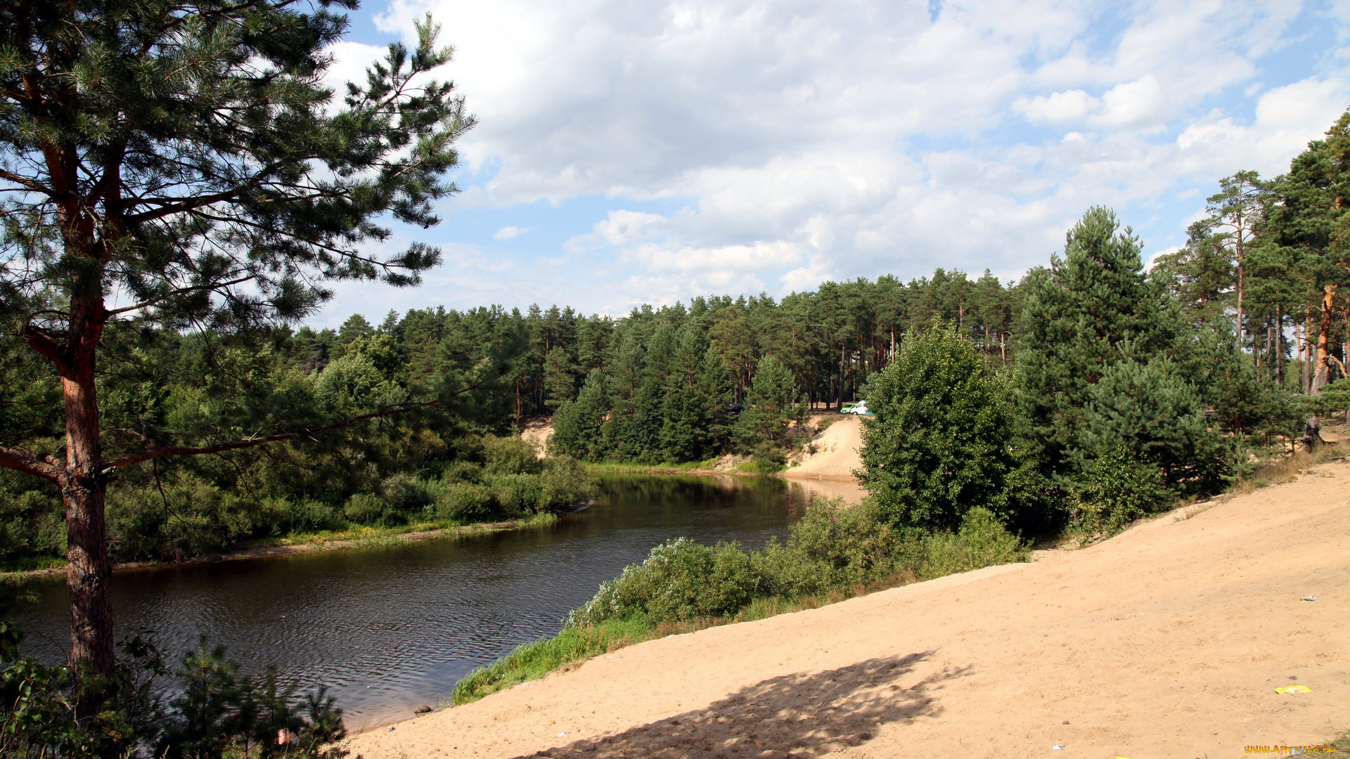 природа, реки, озера, деревья, песок, берег